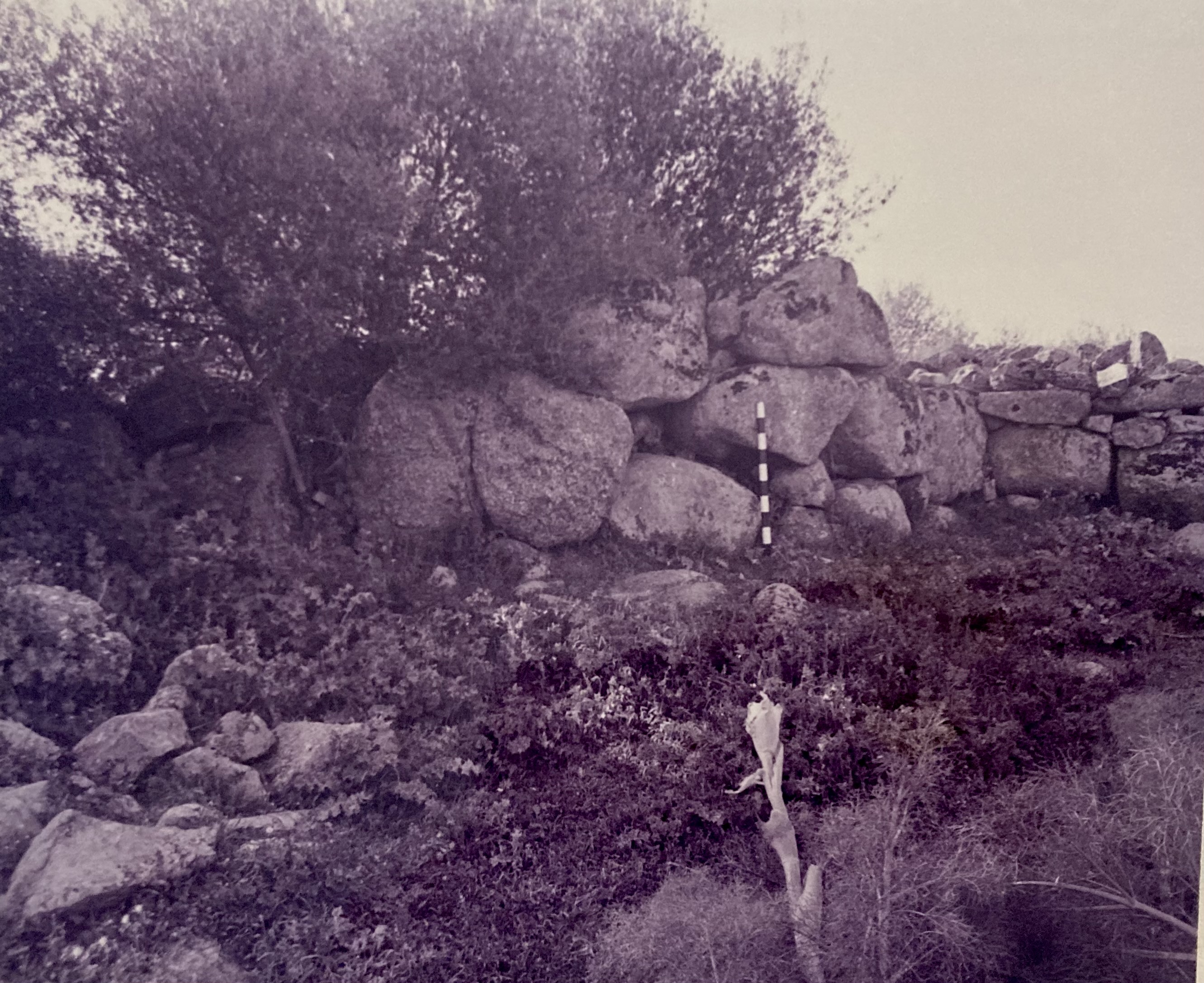 Nuraghe Puddighinu basso (nuraghe) - Benetutti (SS)  (Bronzo Medio-Bronzo Recente)