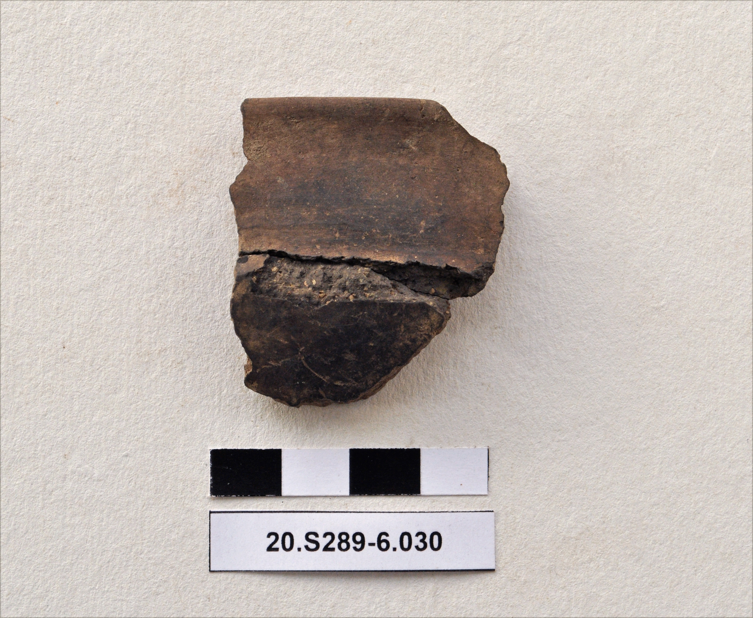 SINGOLO OGGETTO/ tazza, PERIODIZZAZIONI/ Protostoria/ Eta' del Bronzo/ Eta' del Bronzo medio