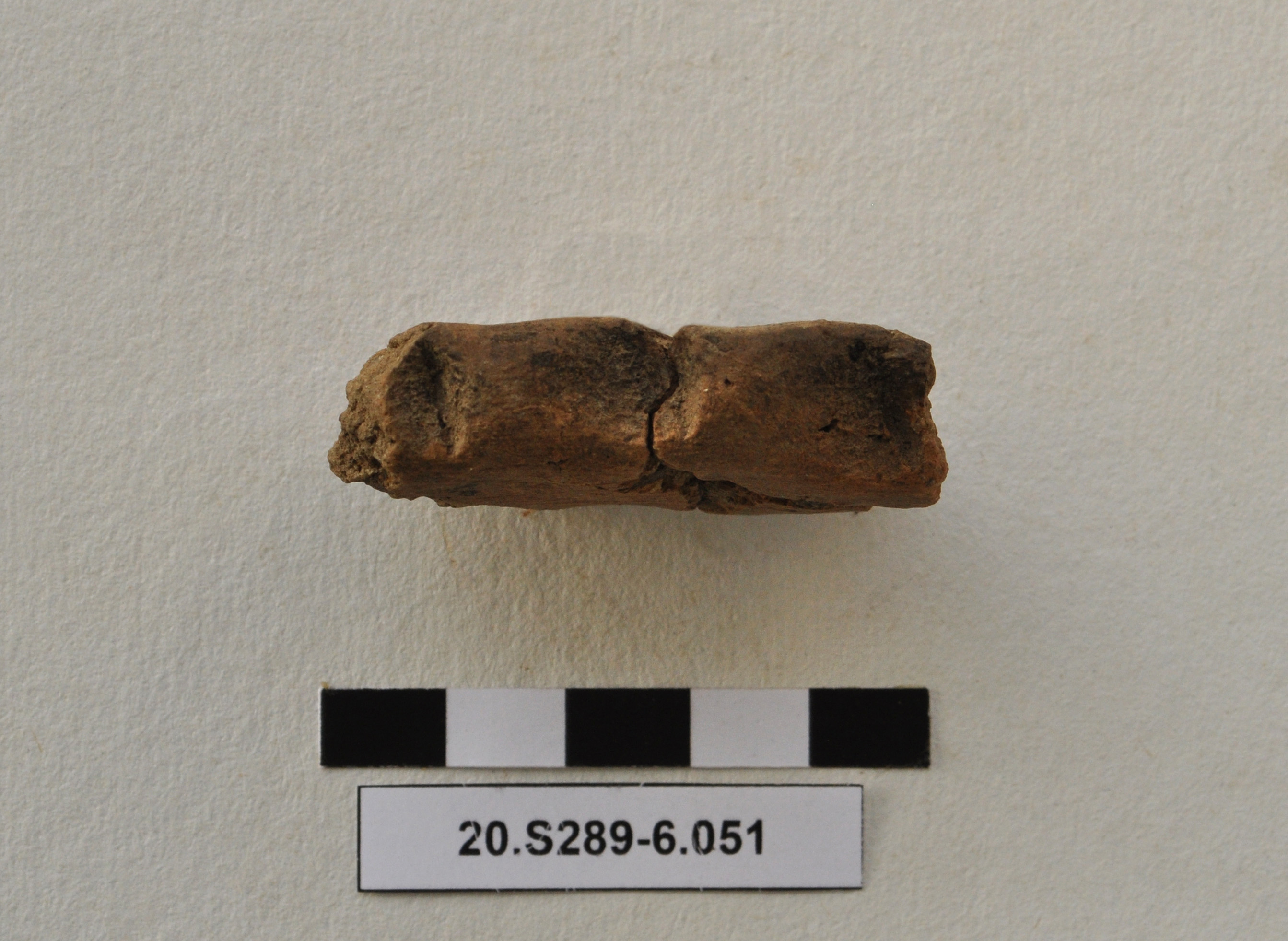 SINGOLO OGGETTO/ recipiente, PERIODIZZAZIONI/ Protostoria/ Eta' del Bronzo