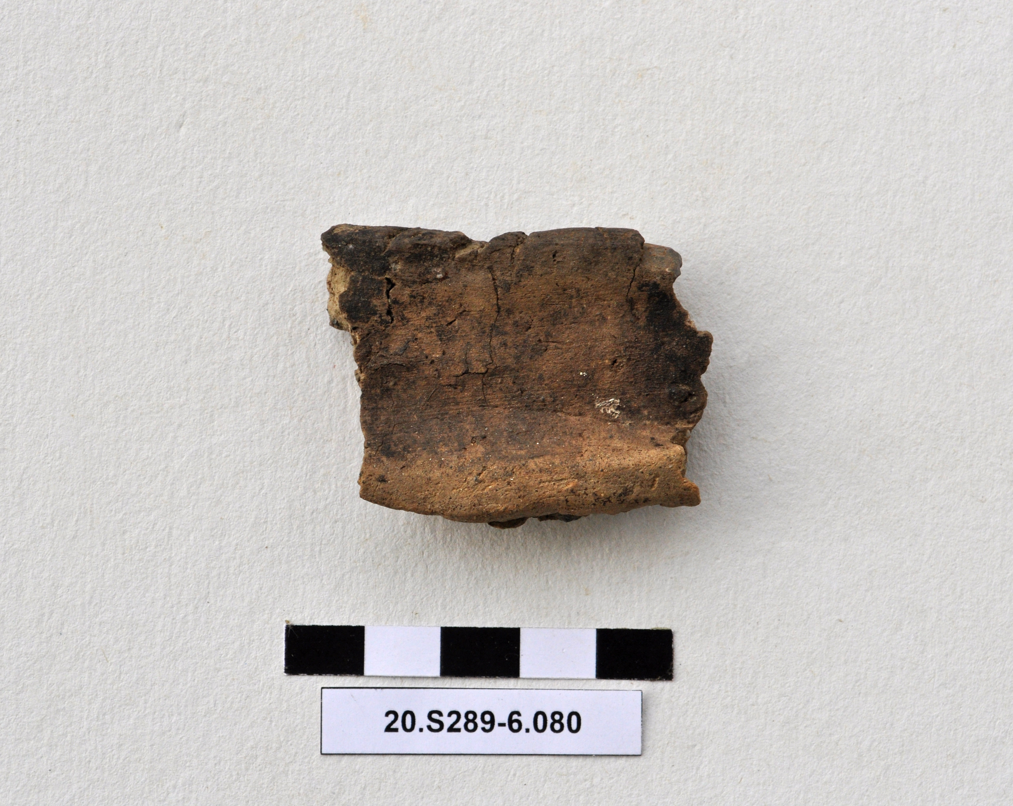 SINGOLO OGGETTO/ recipiente, PERIODIZZAZIONI/ Protostoria/ Eta' del Bronzo