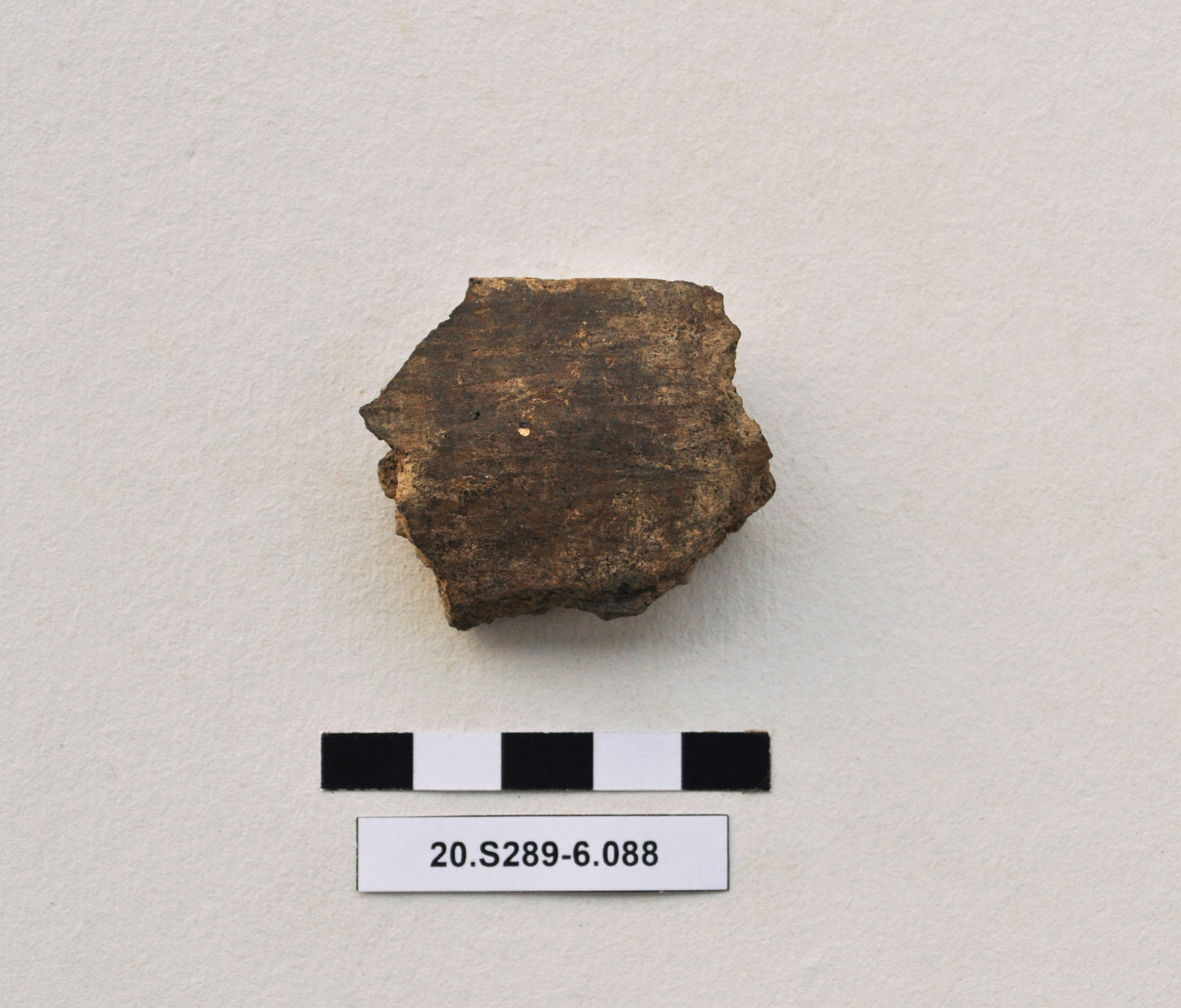 SINGOLO OGGETTO/ recipiente, PERIODIZZAZIONI/ Protostoria/ Eta' del Bronzo