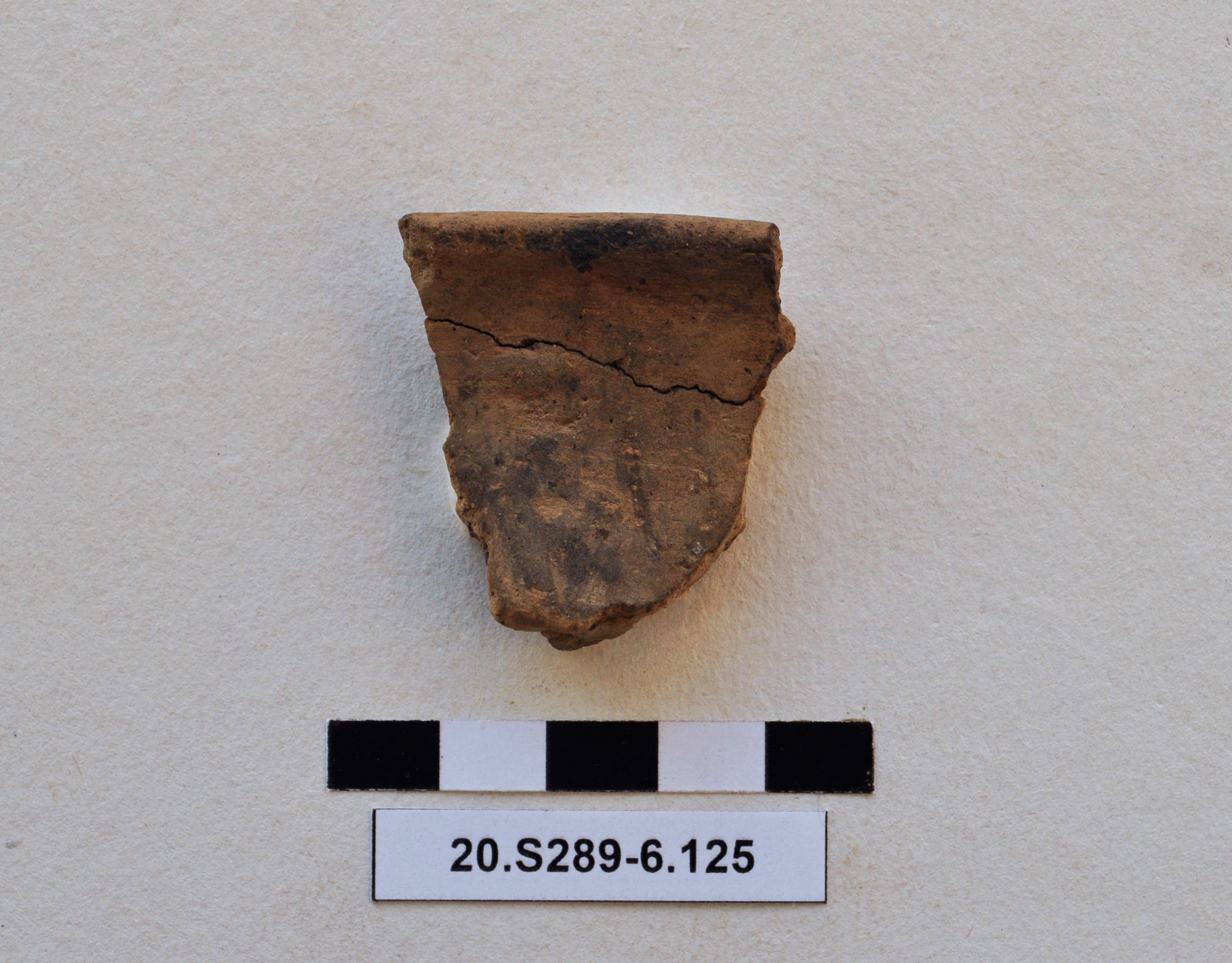 SINGOLO OGGETTO/ ciotola, PERIODIZZAZIONI/ Protostoria/ Eta' del Bronzo