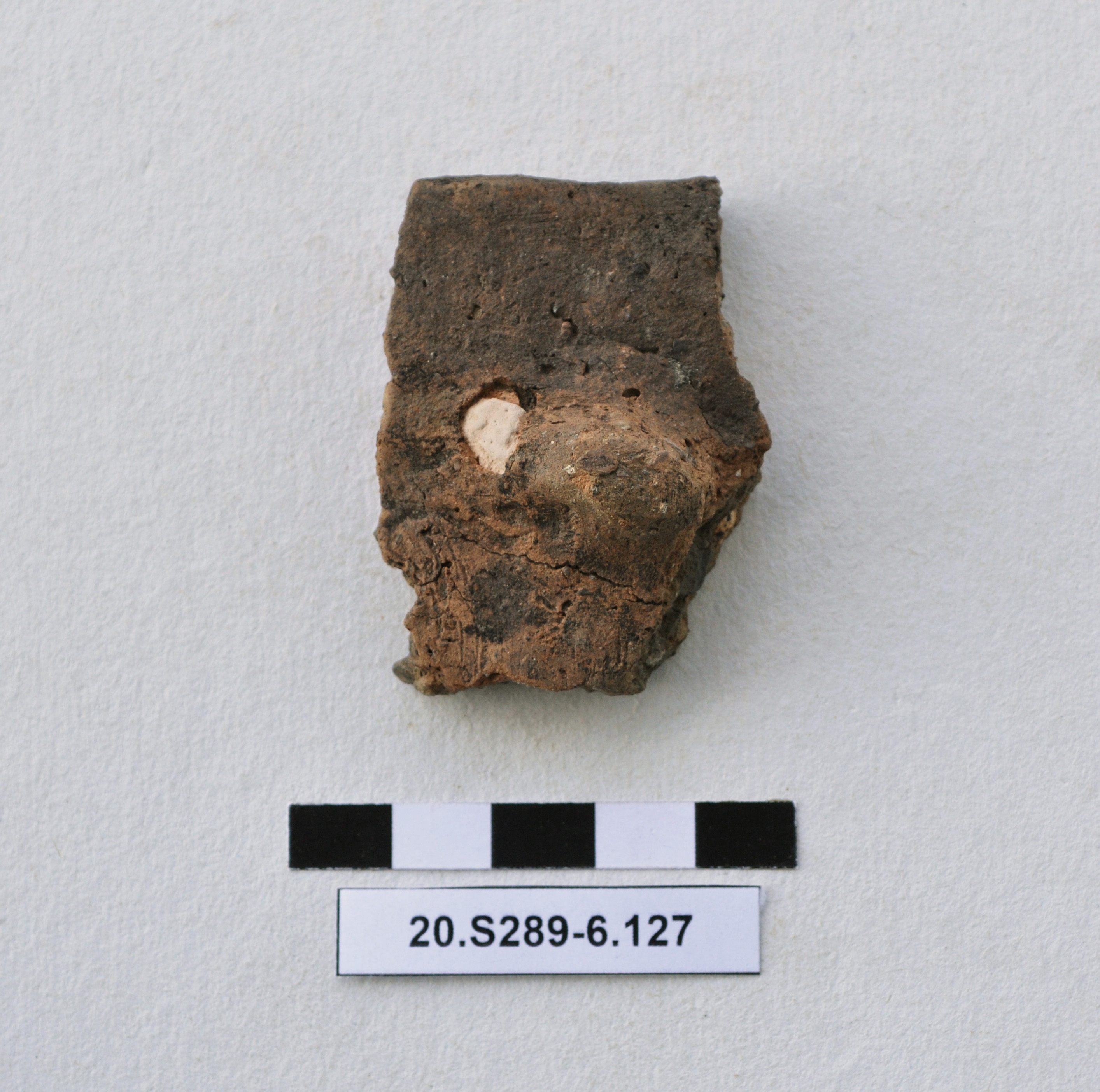 SINGOLO OGGETTO/ recipiente, PERIODIZZAZIONI/ Protostoria/ Eta' del Bronzo/ Eta' del Bronzo antico