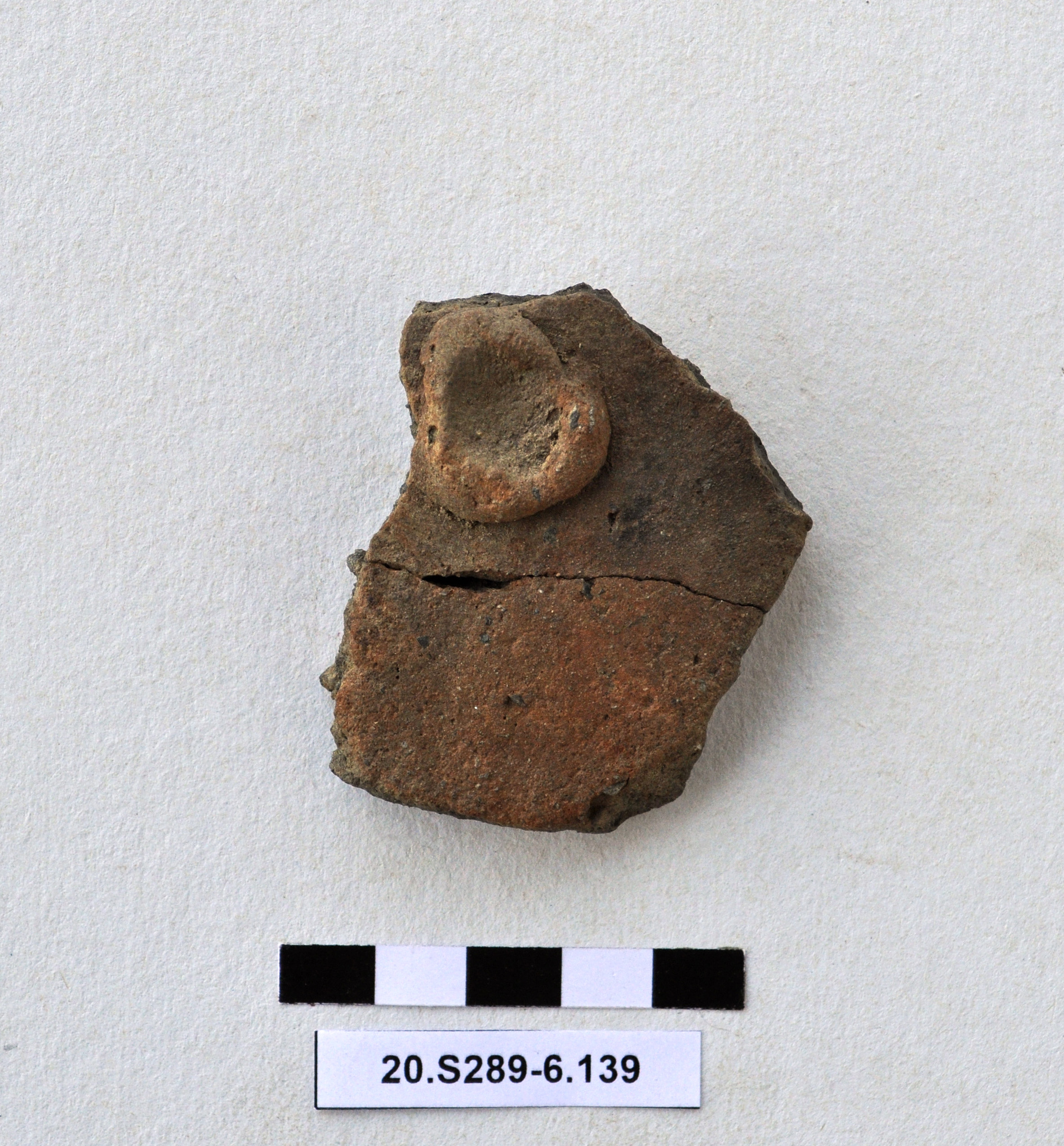 SINGOLO OGGETTO/ recipiente, PERIODIZZAZIONI/ Preistoria