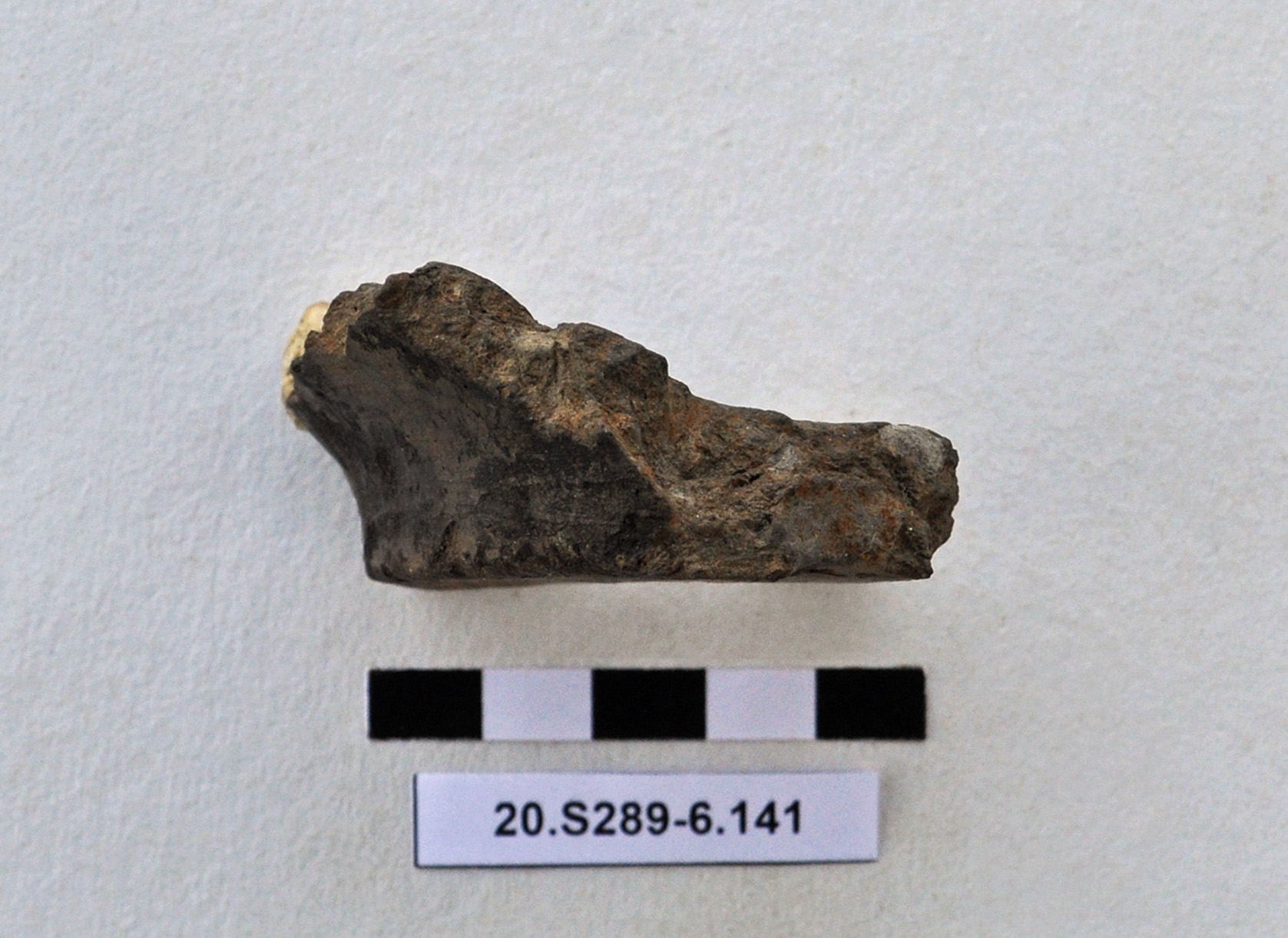 SINGOLO OGGETTO/ recipiente, PERIODIZZAZIONI/ Protostoria/ Eta' del Bronzo