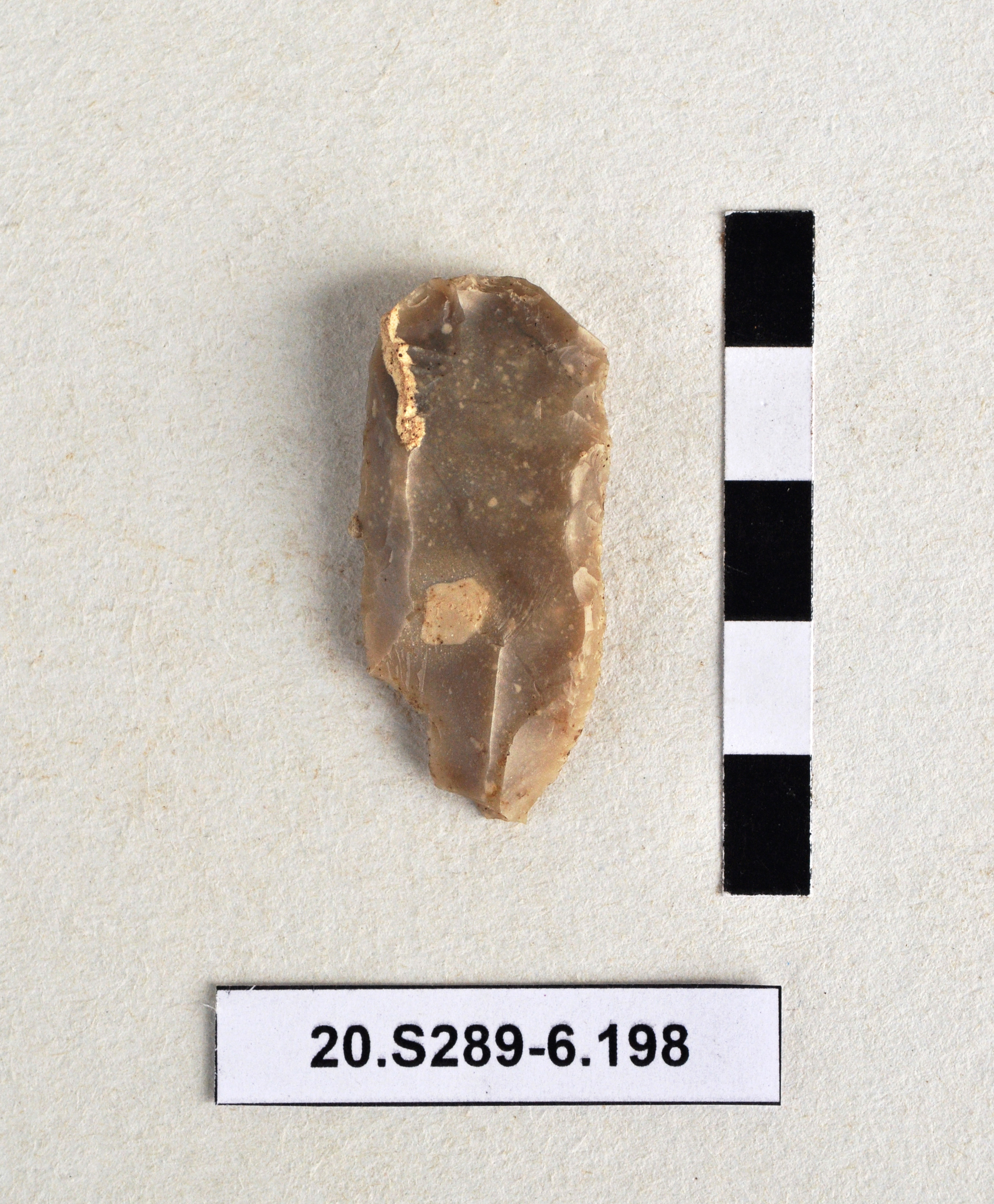 SINGOLO OGGETTO/ grattatoio, PERIODIZZAZIONI/ Protostoria/ Eta' del Bronzo