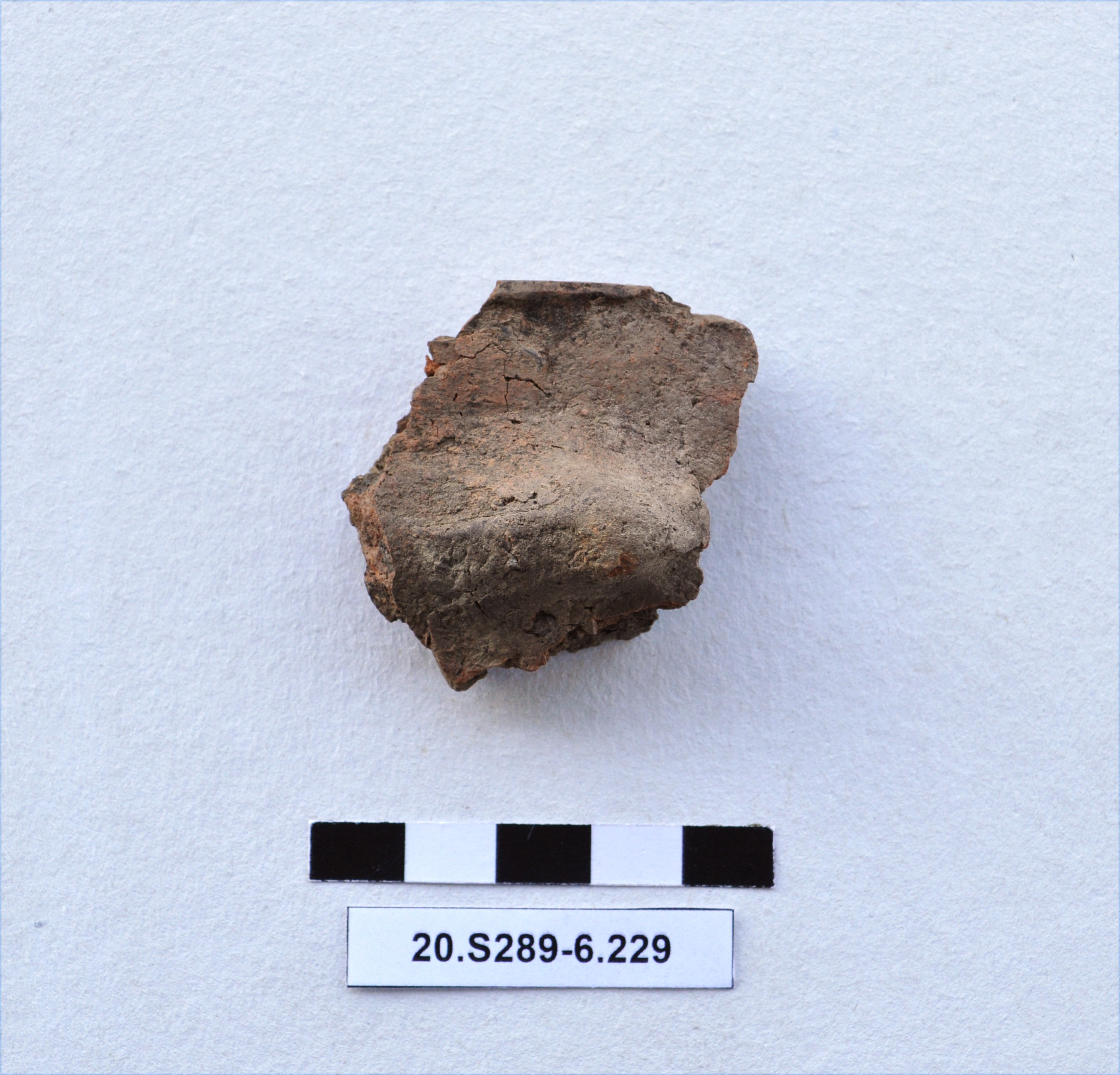 SINGOLO OGGETTO/ recipiente, PERIODIZZAZIONI/ Protostoria/ Eta' del Bronzo/ Eta' del Bronzo antico