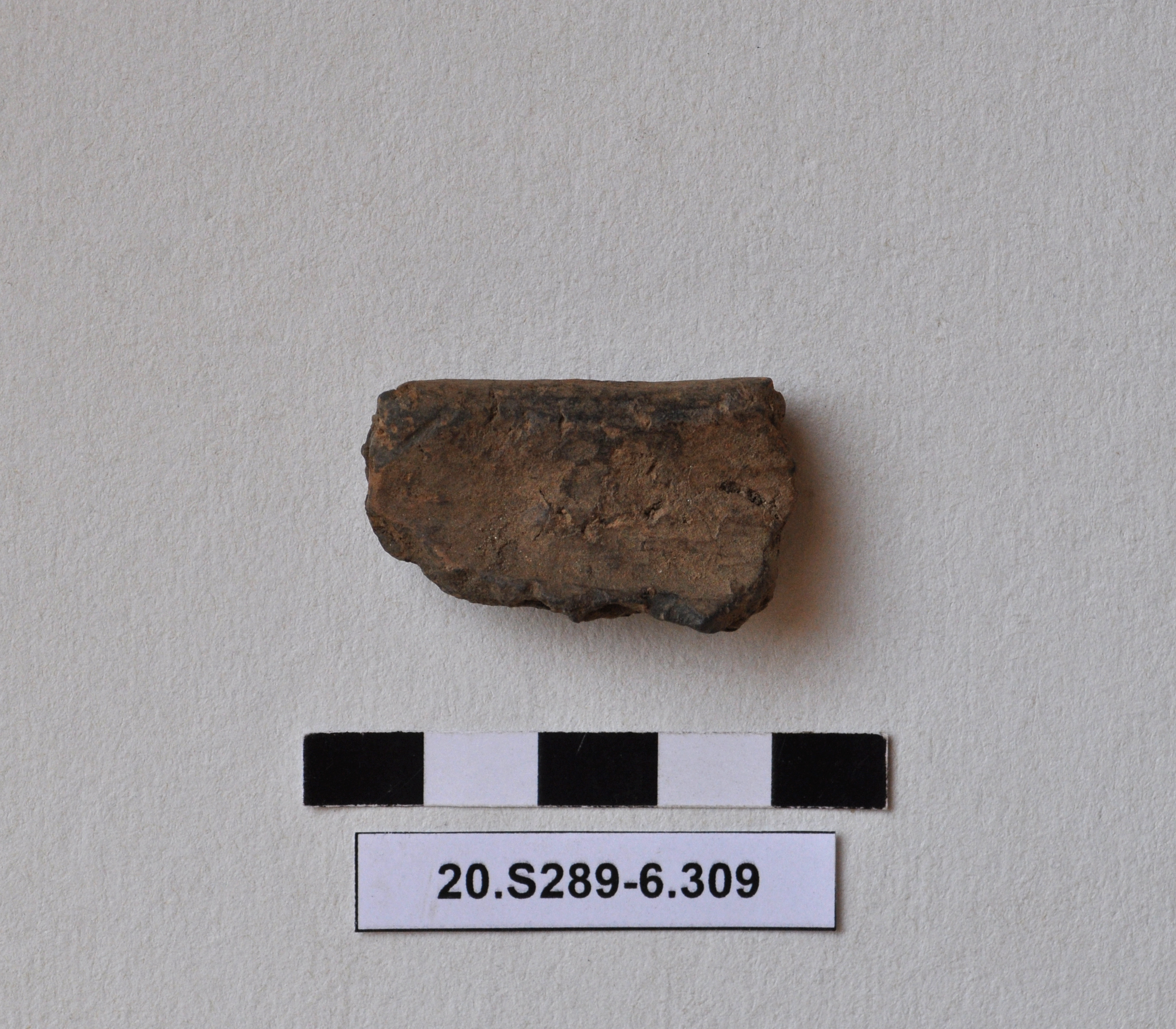 SINGOLO OGGETTO/ recipiente, PERIODIZZAZIONI/ Protostoria/ Eta' del Bronzo