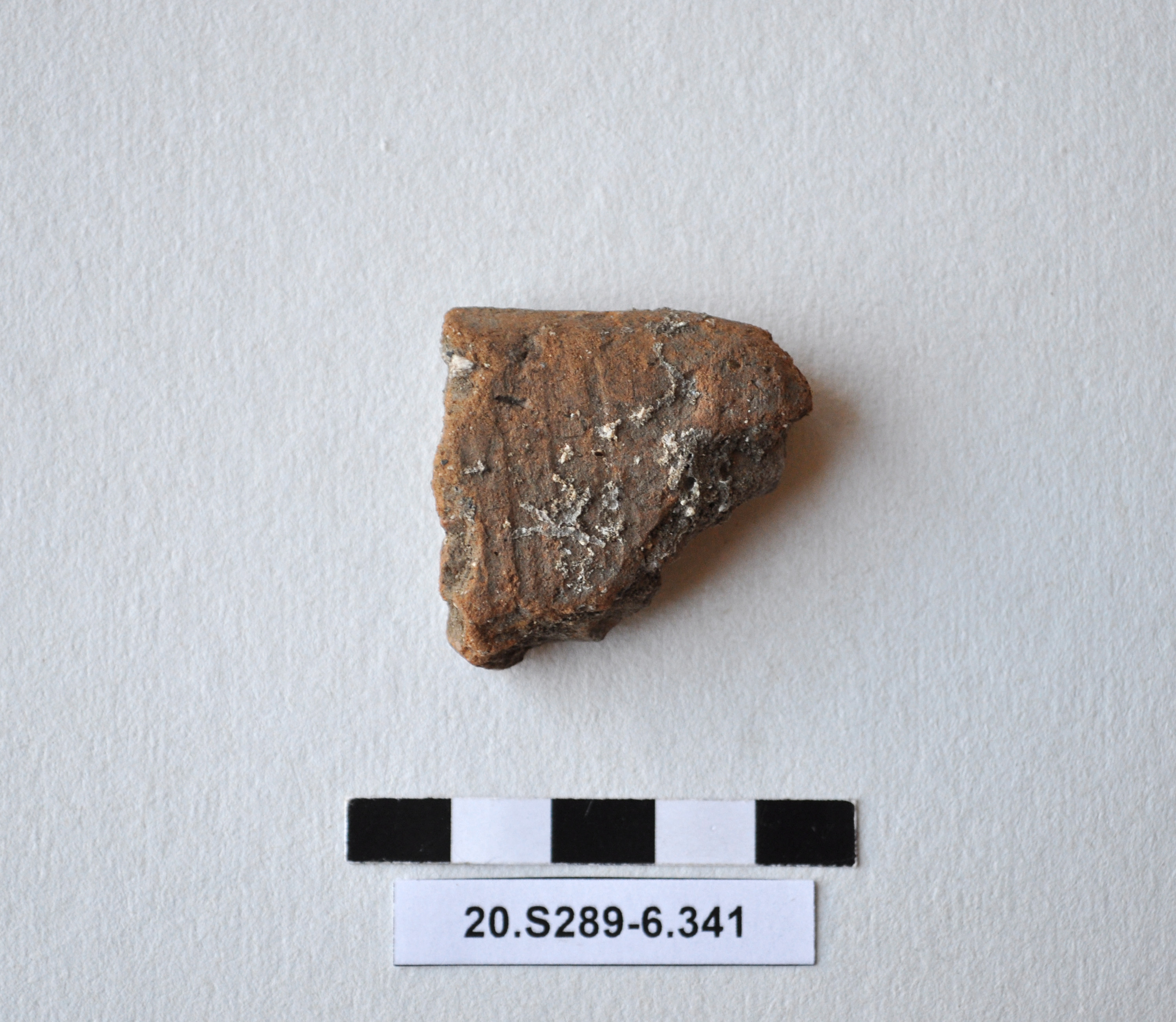 SINGOLO OGGETTO/ recipiente, PERIODIZZAZIONI/ Preistoria/ Eta' del Rame