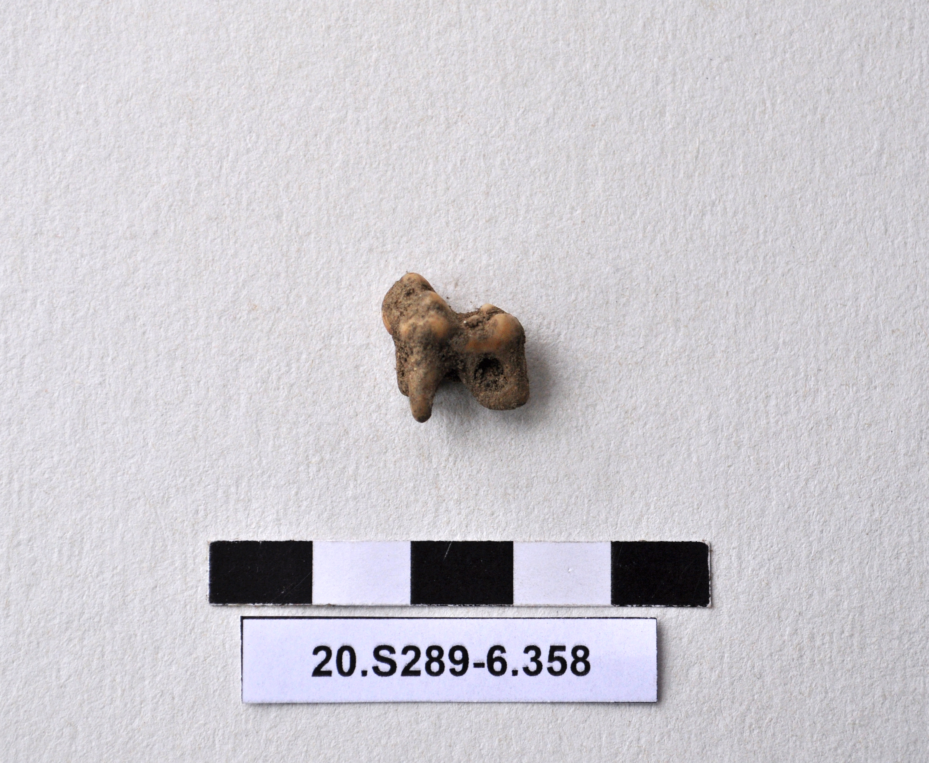 SINGOLO OGGETTO, PERIODIZZAZIONI/ Preistoria/ Eta' del Rame