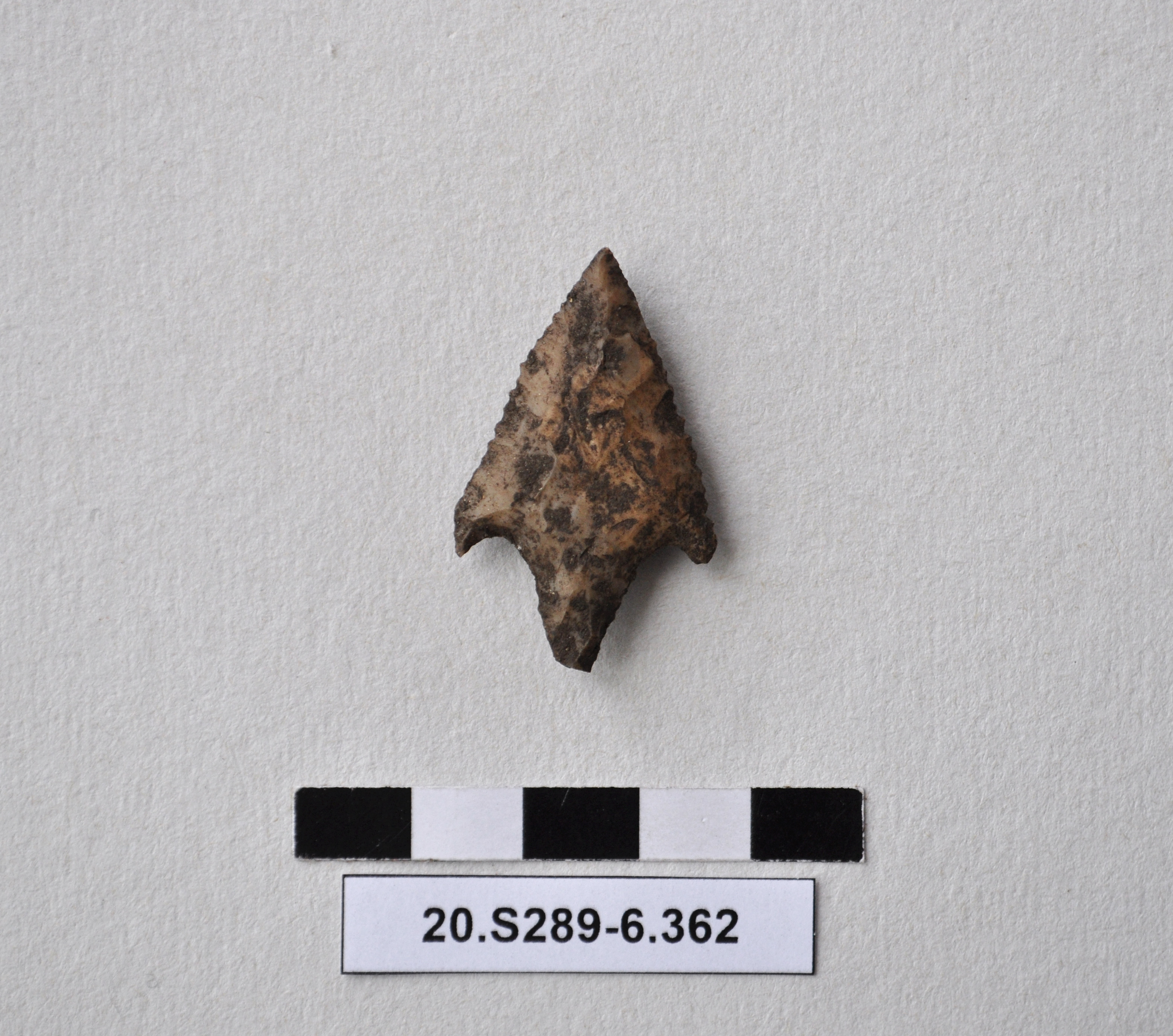 SINGOLO OGGETTO/ freccia, PERIODIZZAZIONI/ Preistoria/ Eta' del Rame