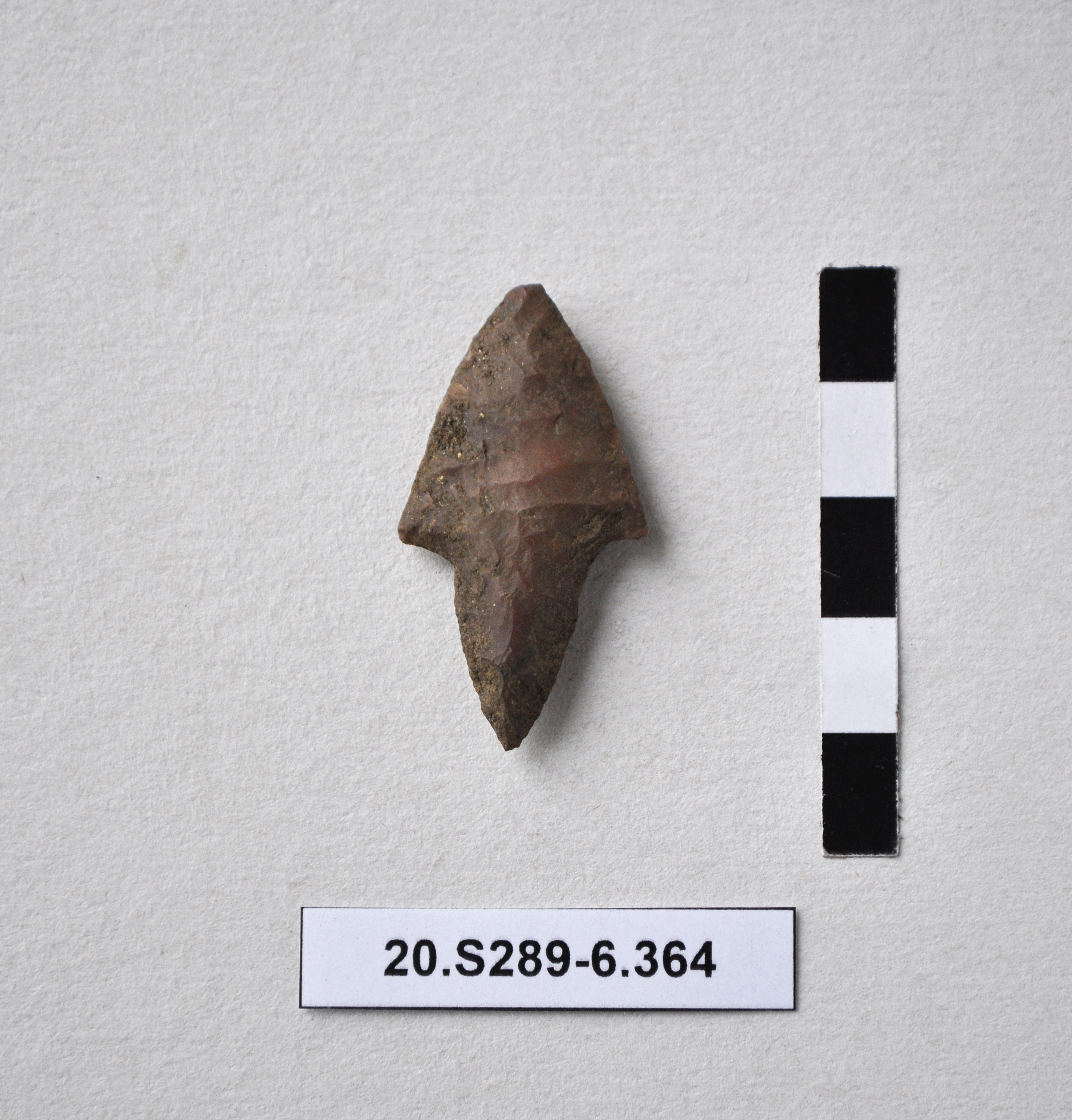 SINGOLO OGGETTO/ freccia, PERIODIZZAZIONI/ Preistoria/ Eta' del Rame