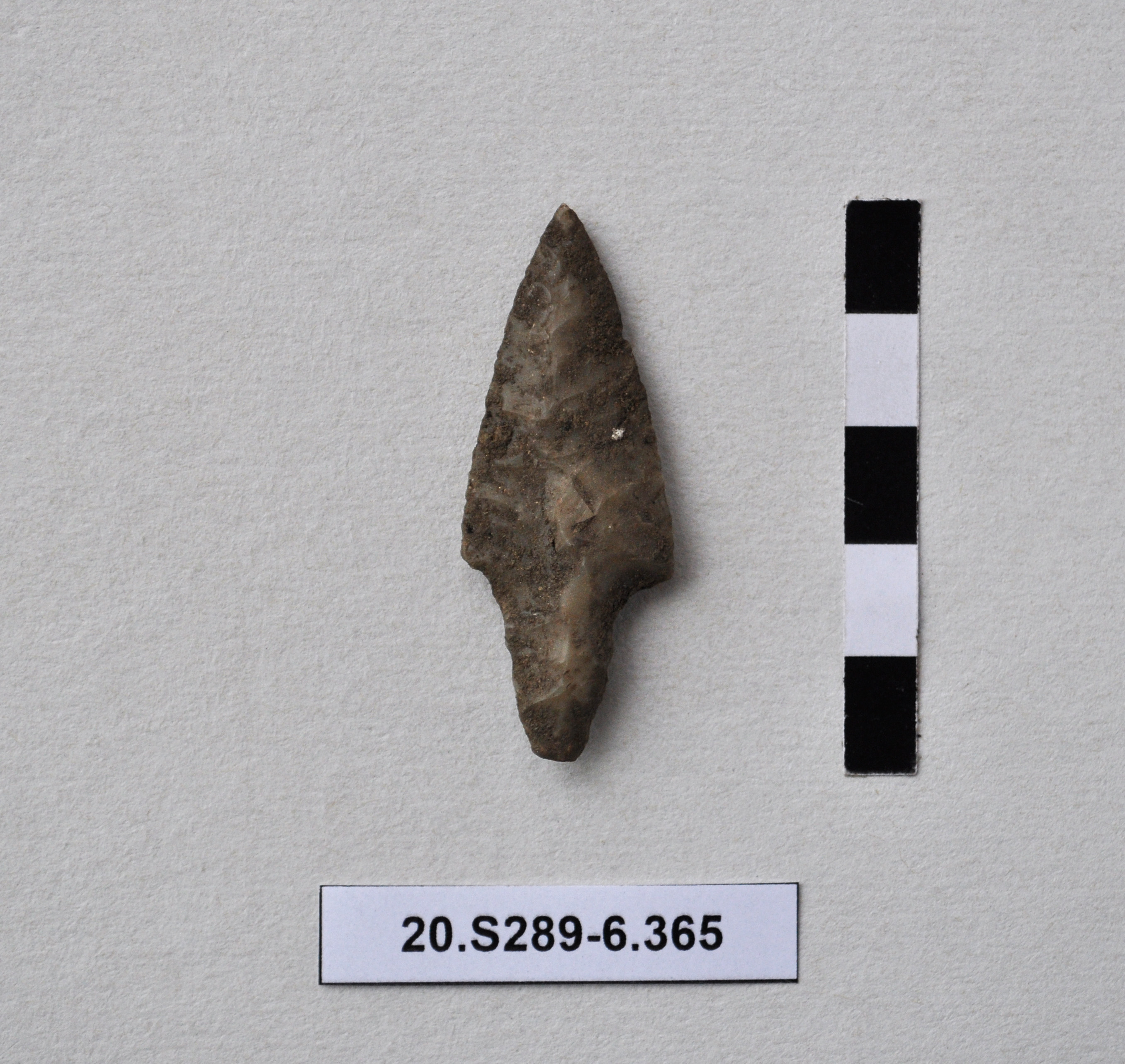 SINGOLO OGGETTO/ freccia, PERIODIZZAZIONI/ Preistoria/ Eta' del Rame