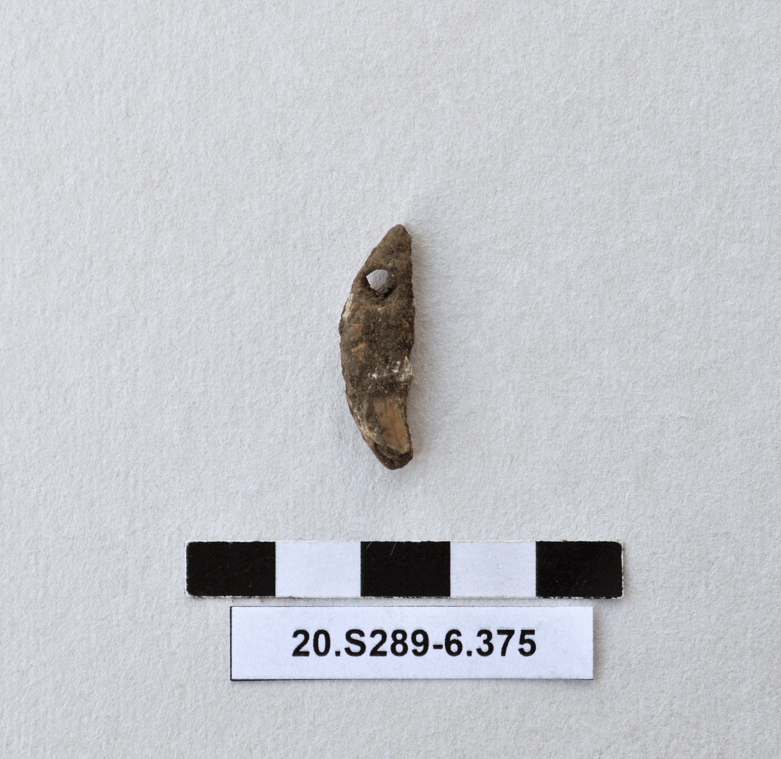 SINGOLO OGGETTO, PERIODIZZAZIONI/ Preistoria/ Eta' del Rame