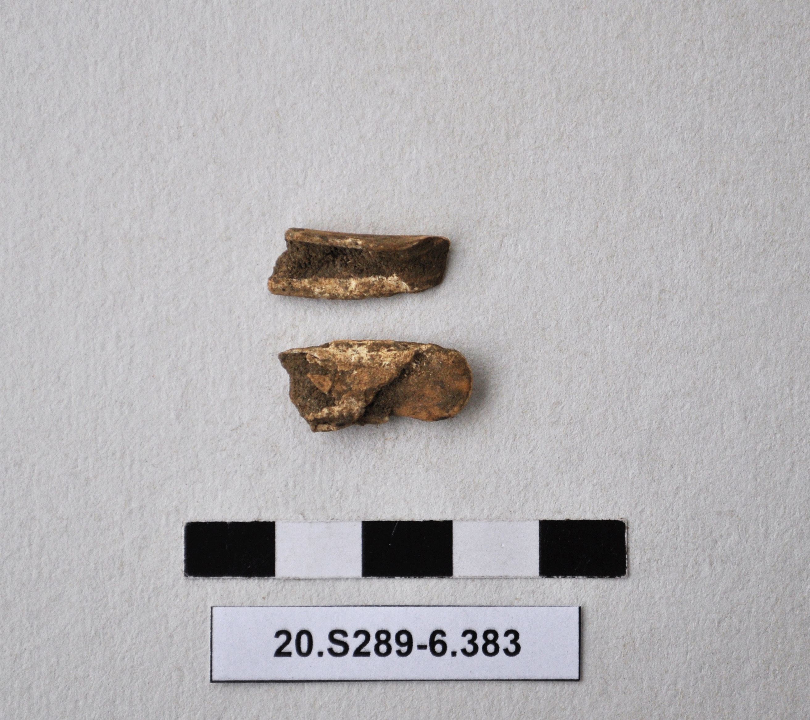 SINGOLO OGGETTO, PERIODIZZAZIONI/ Preistoria/ Eta' del Rame