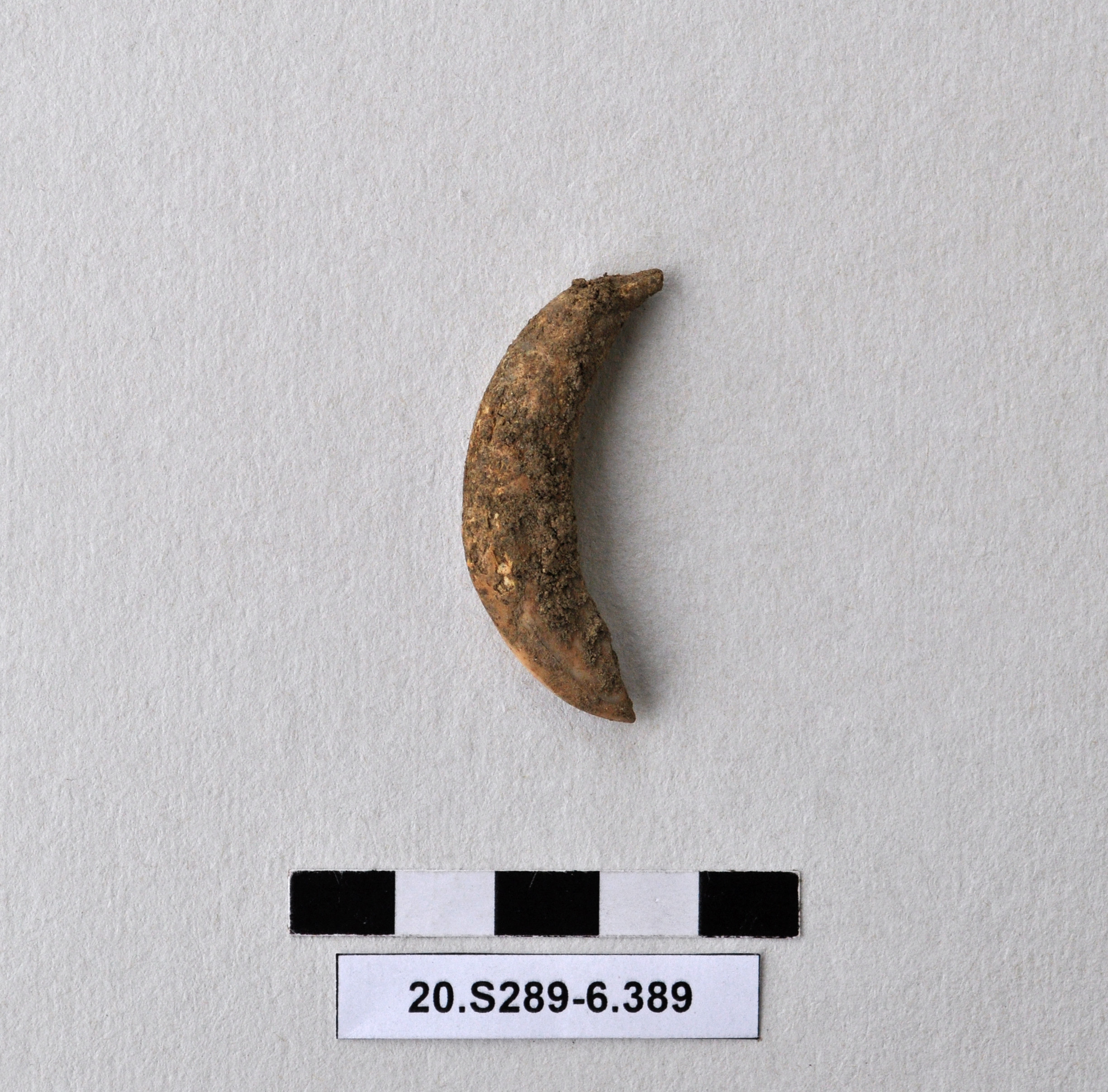 SINGOLO OGGETTO, PERIODIZZAZIONI/ Preistoria/ Eta' del Rame