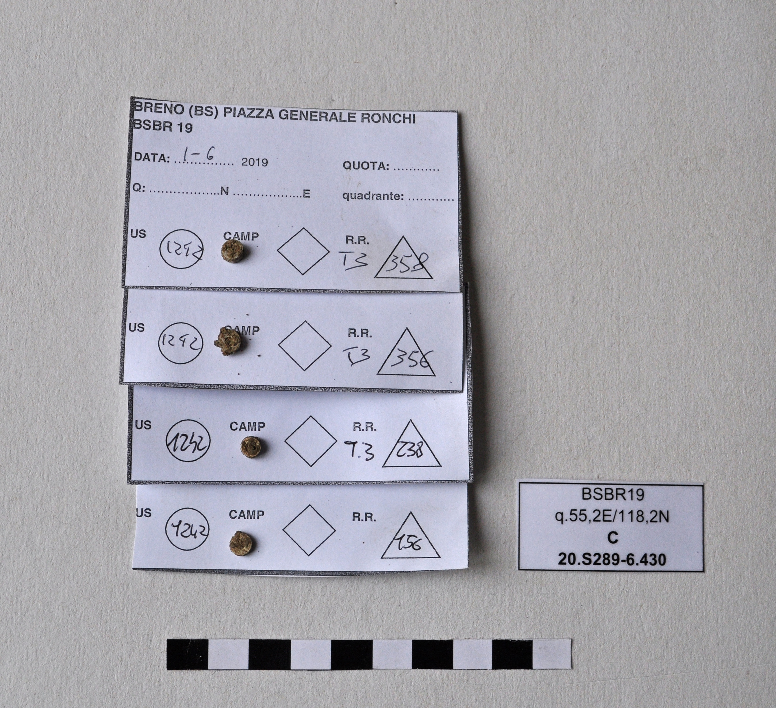 SINGOLO OGGETTO/ vago, PERIODIZZAZIONI/ Preistoria/ Eta' del Rame