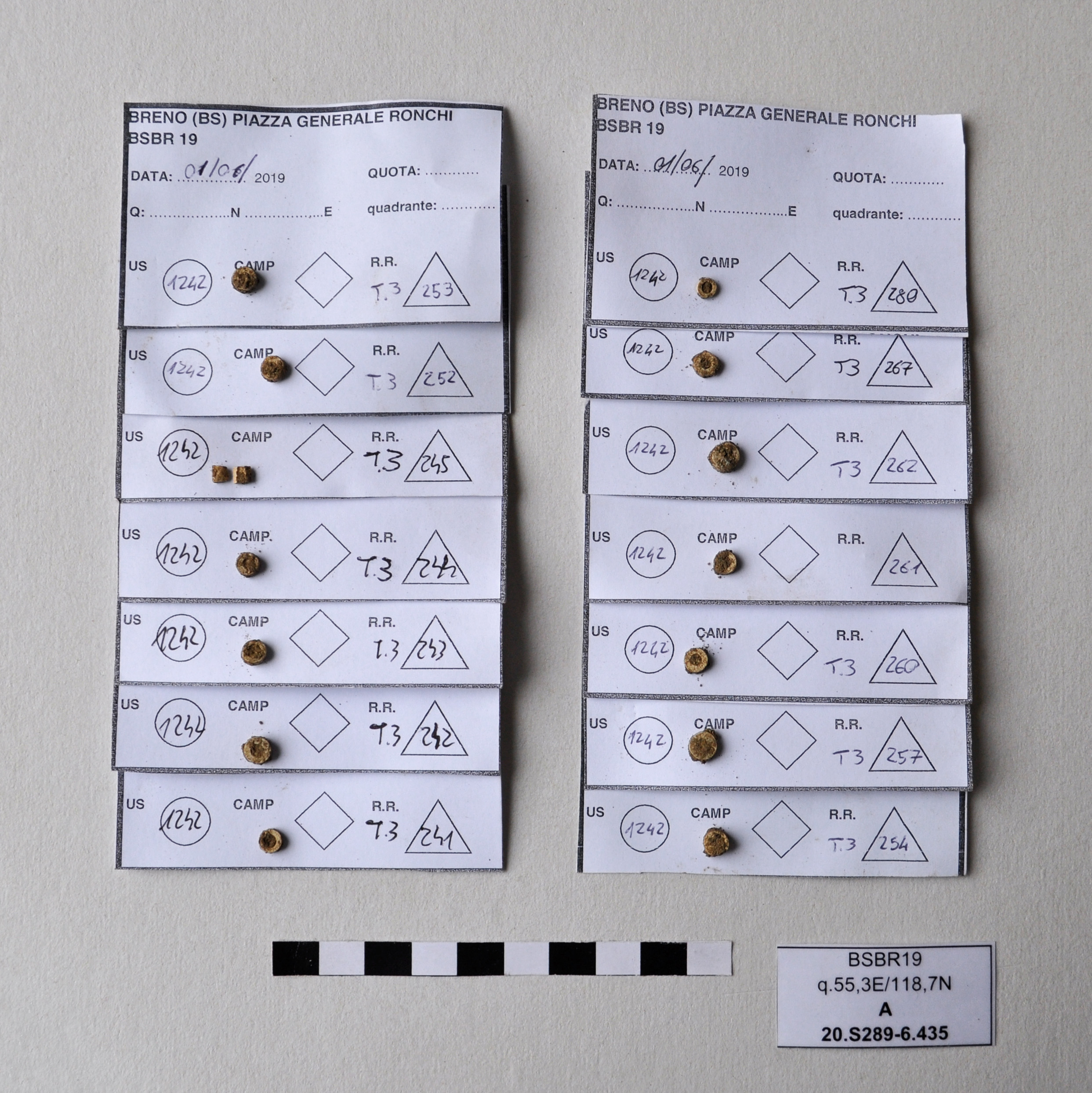 SINGOLO OGGETTO/ vago, PERIODIZZAZIONI/ Preistoria/ Eta' del Rame