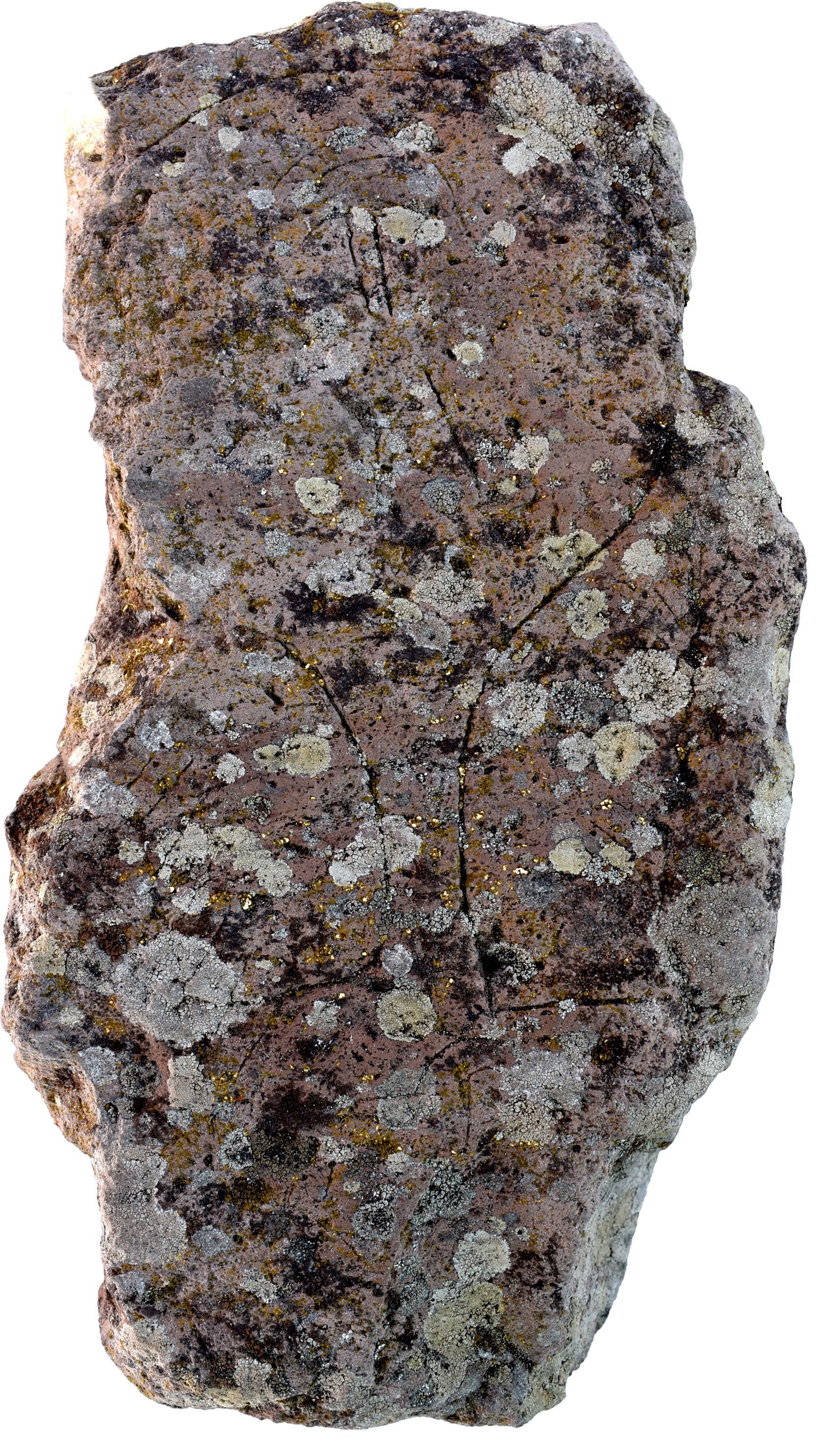 SINGOLO OGGETTO/ stele, SECOLI/ ARCHI DI SECOLI/ I a.C. - I