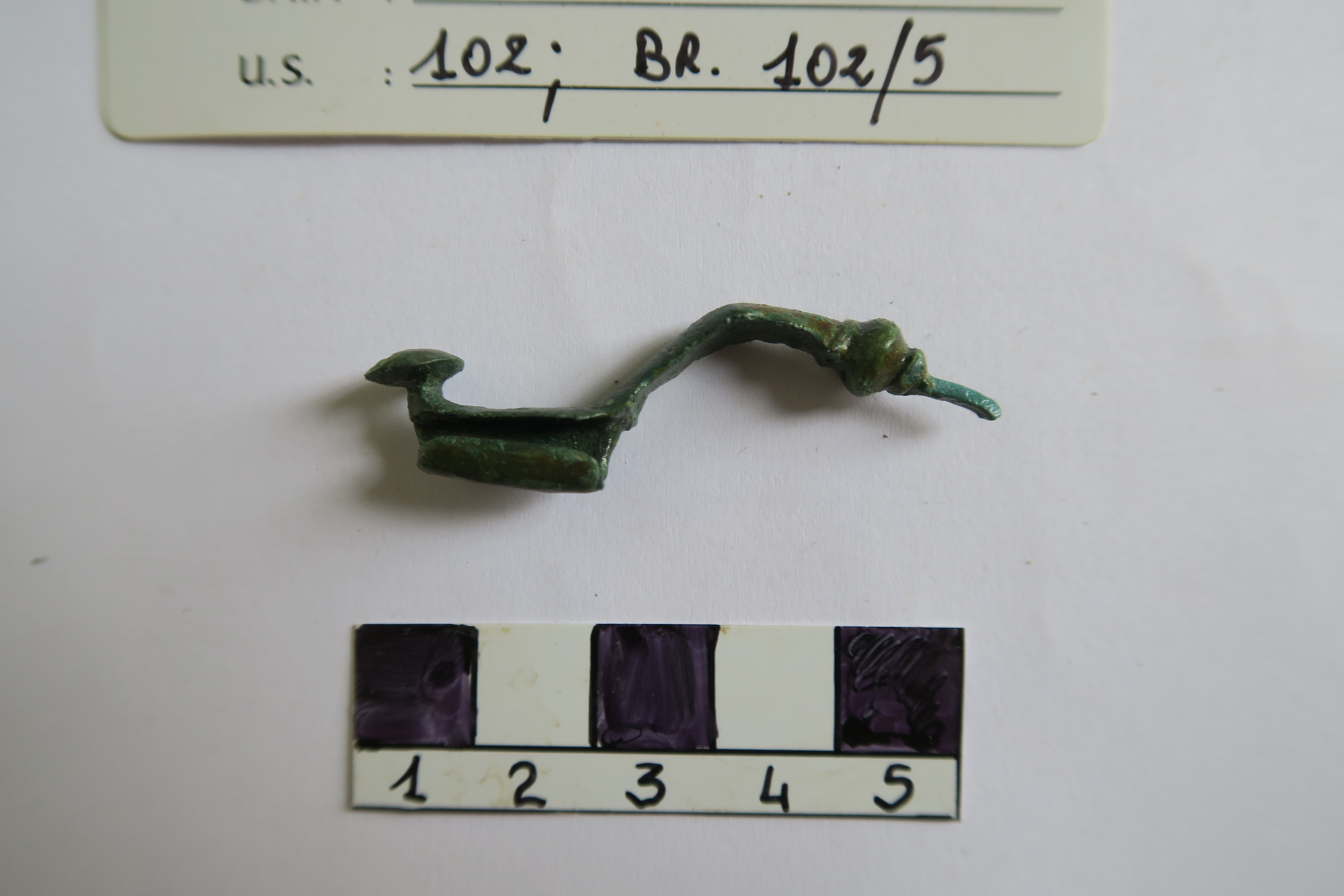 SINGOLO OGGETTO/ fibula, PERIODIZZAZIONI/ Protostoria/ Eta' del Ferro/ Seconda eta' del Ferro