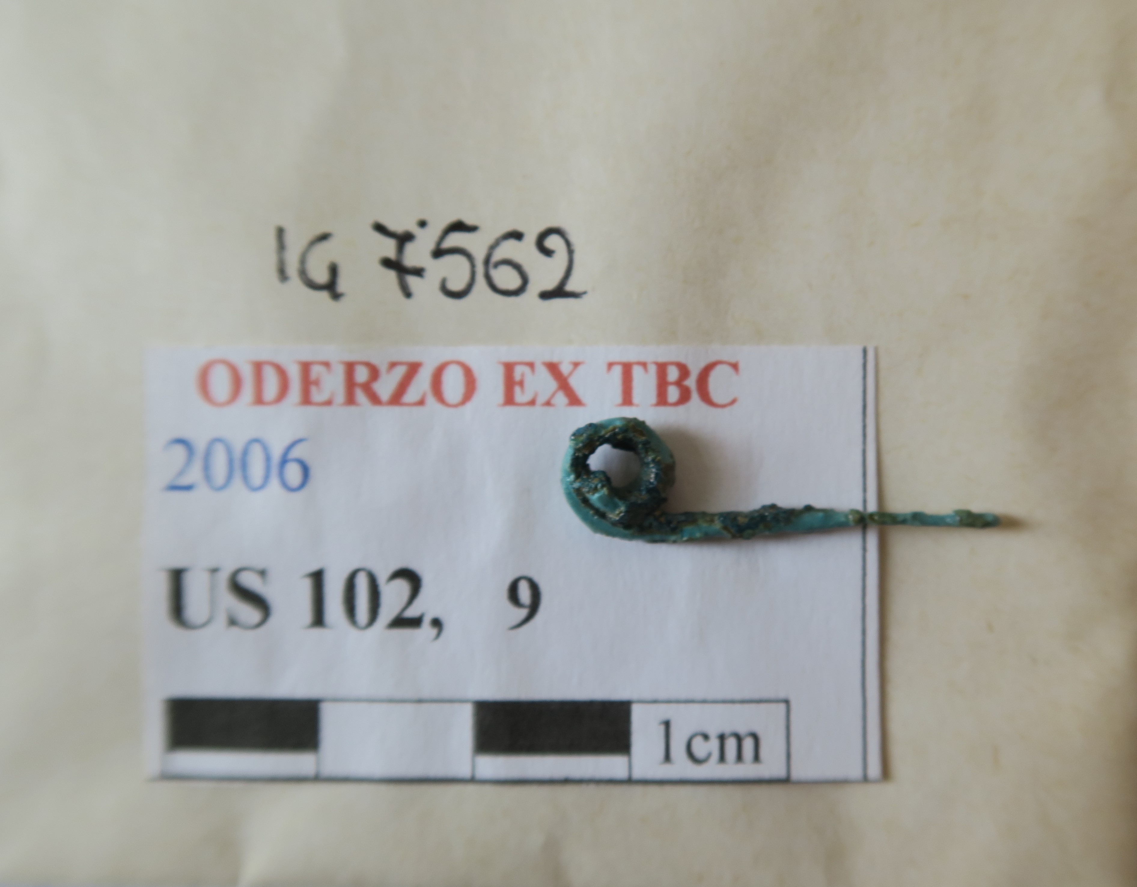 SINGOLO OGGETTO/ fibula, PERIODIZZAZIONI/ Protostoria/ Eta' del Ferro/ Seconda eta' del Ferro