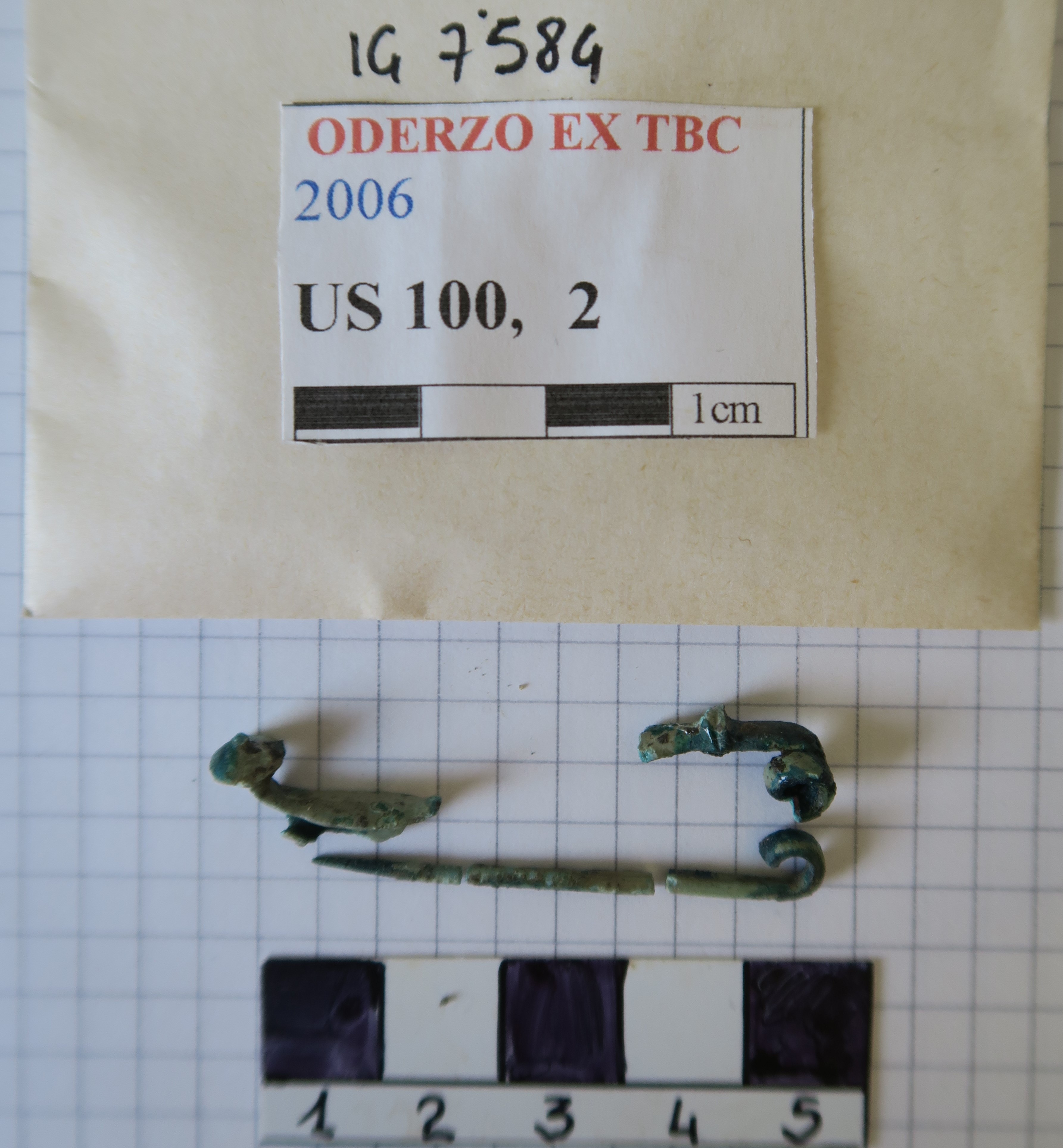 SINGOLO OGGETTO/ fibula, PERIODIZZAZIONI/ Protostoria/ Eta' del Ferro/ Seconda eta' del Ferro