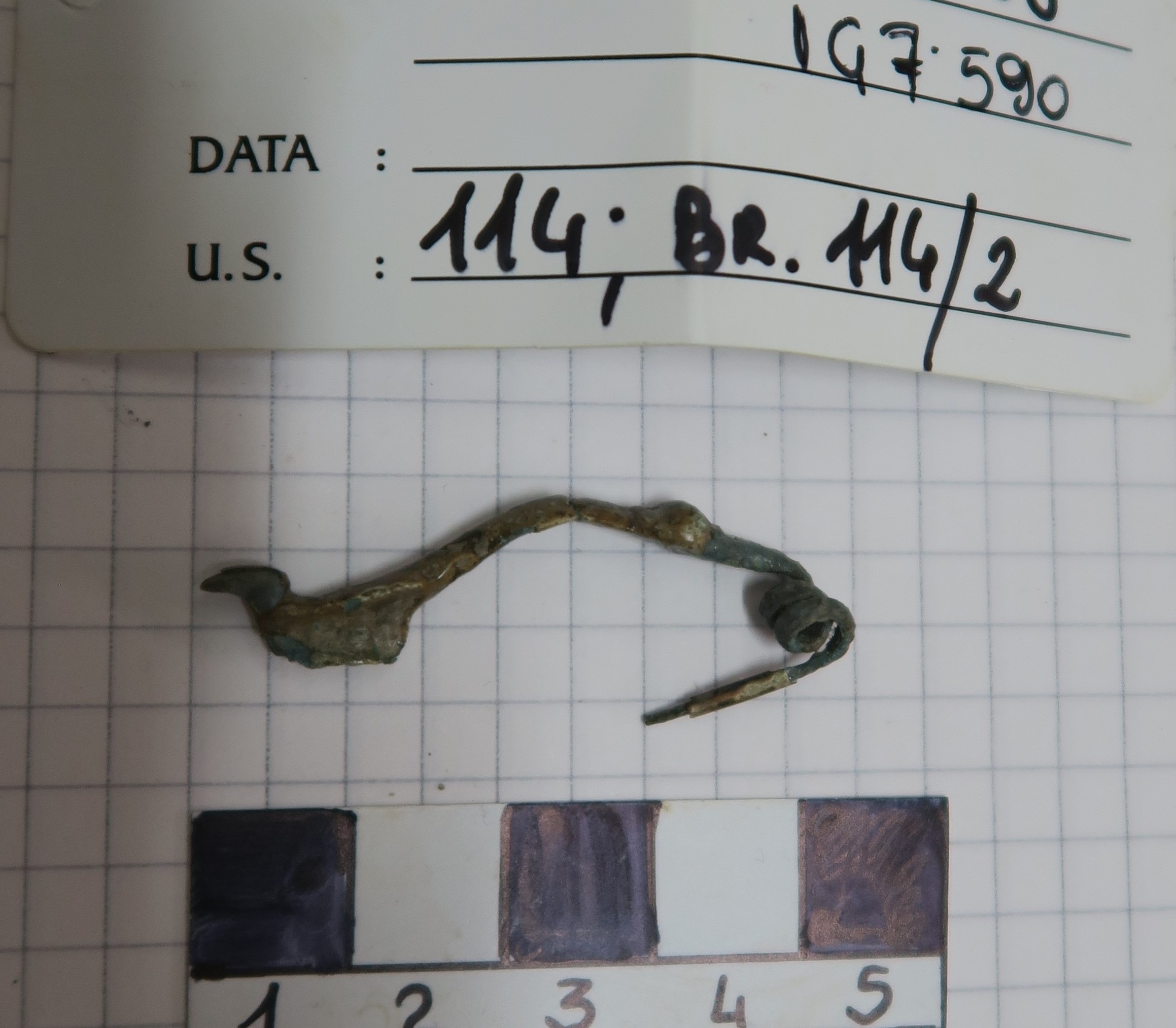 SINGOLO OGGETTO/ fibula, PERIODIZZAZIONI/ Protostoria/ Eta' del Ferro/ Seconda eta' del Ferro