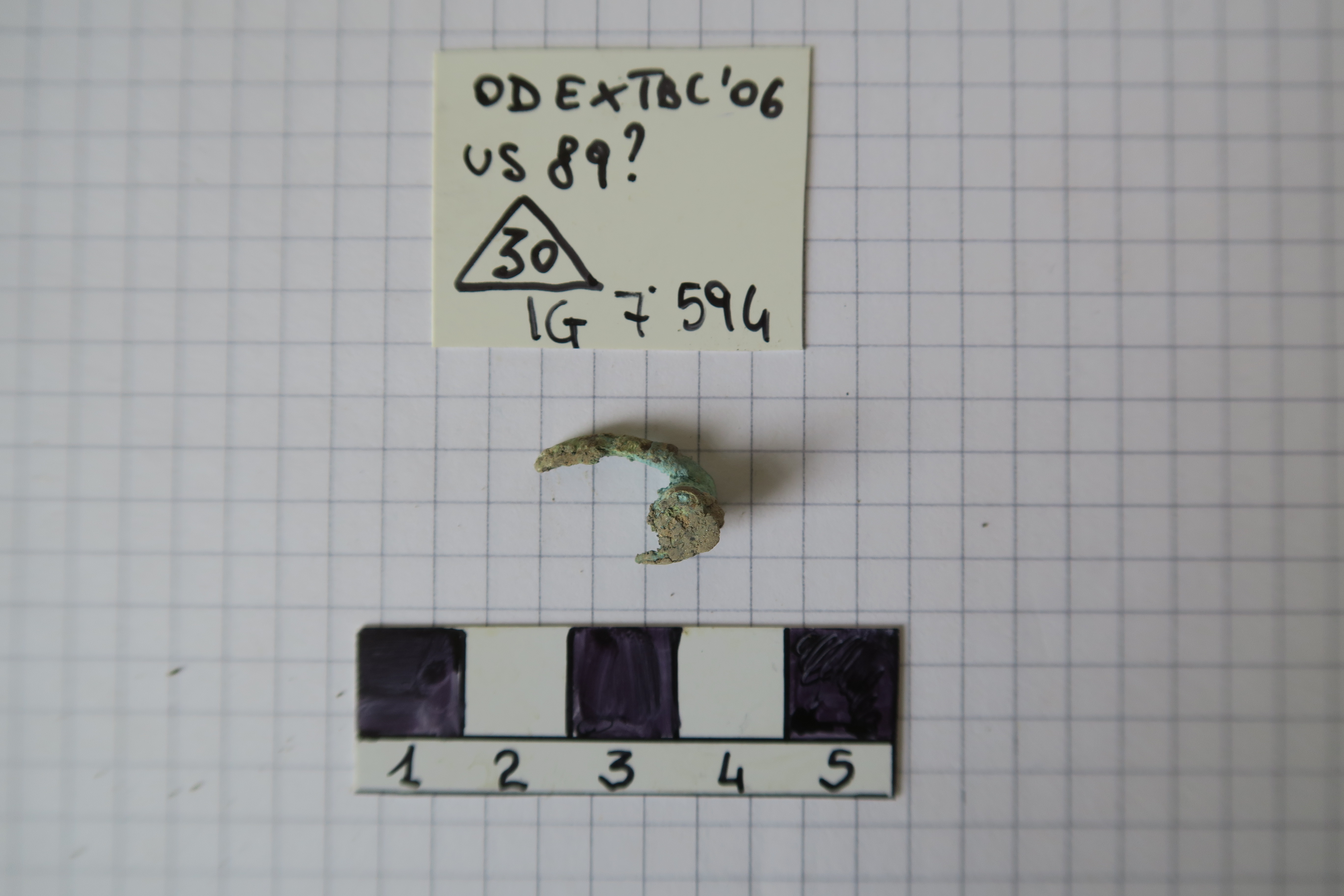 SINGOLO OGGETTO/ fibula, PERIODIZZAZIONI/ Protostoria/ Eta' del Ferro/ Seconda eta' del Ferro