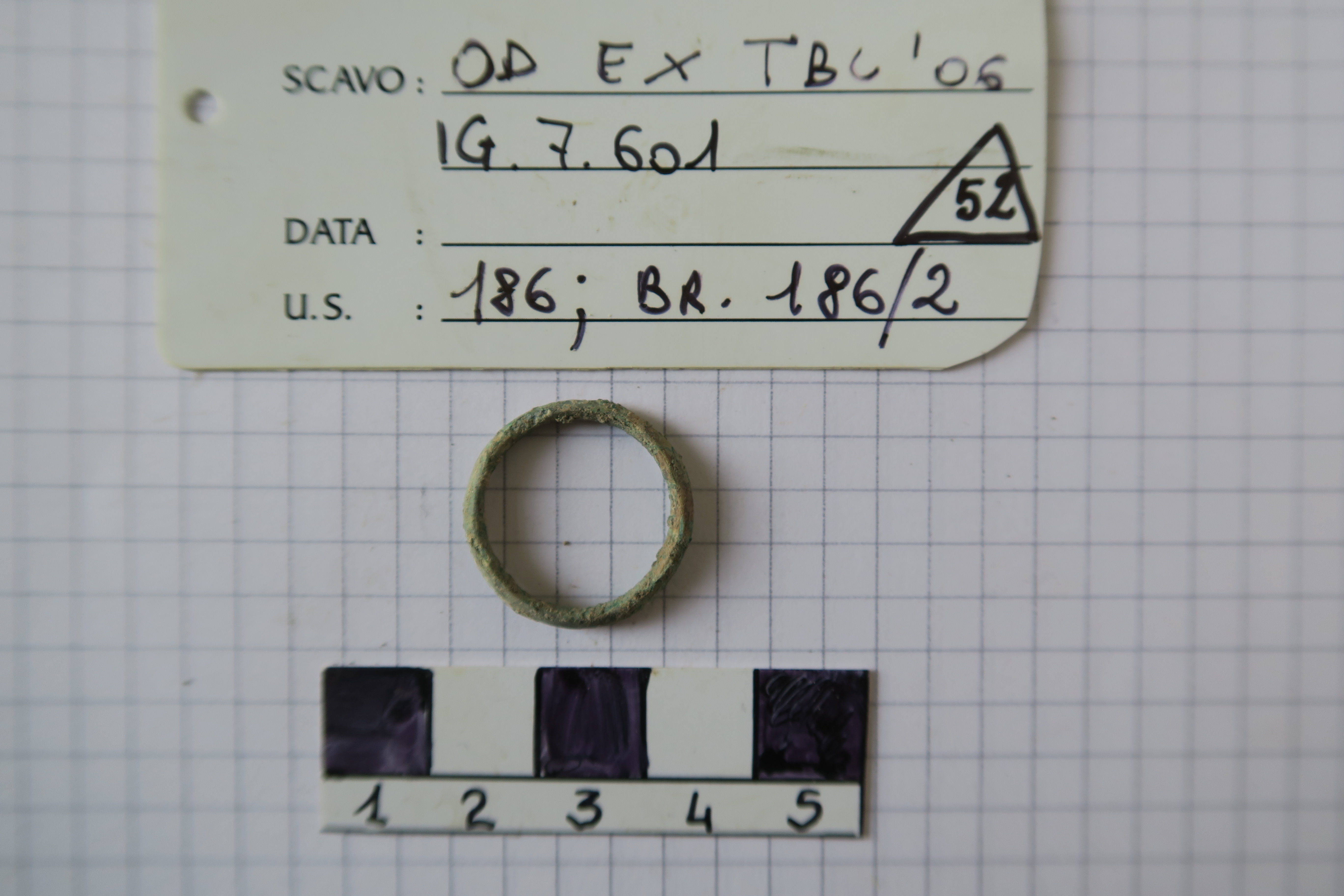 SINGOLO OGGETTO/ anello, PERIODIZZAZIONI/ Protostoria/ Eta' del Ferro/ Seconda eta' del Ferro