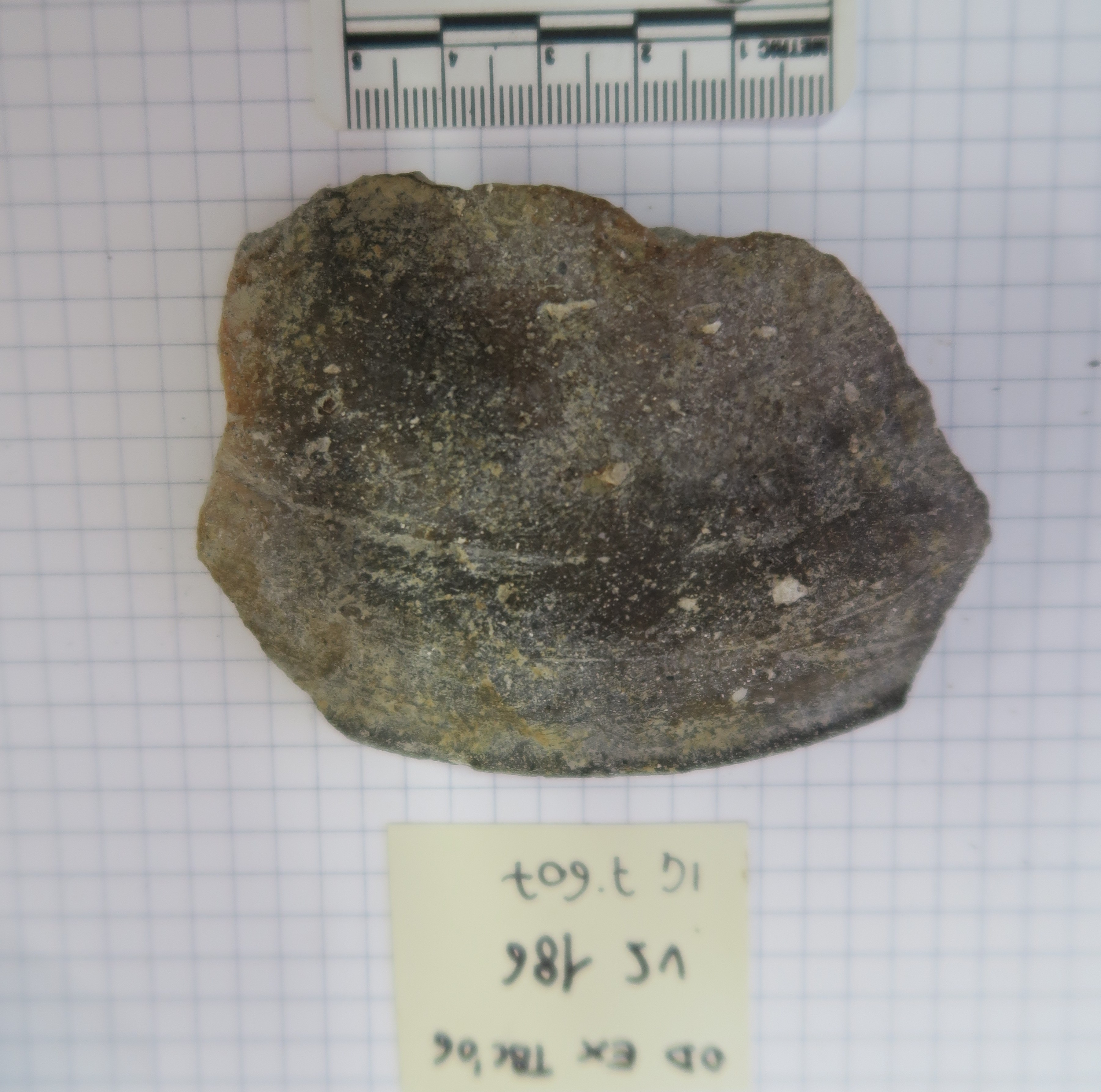 SINGOLO OGGETTO/ coppa, PERIODIZZAZIONI/ Protostoria/ Eta' del Ferro/ Seconda eta' del Ferro