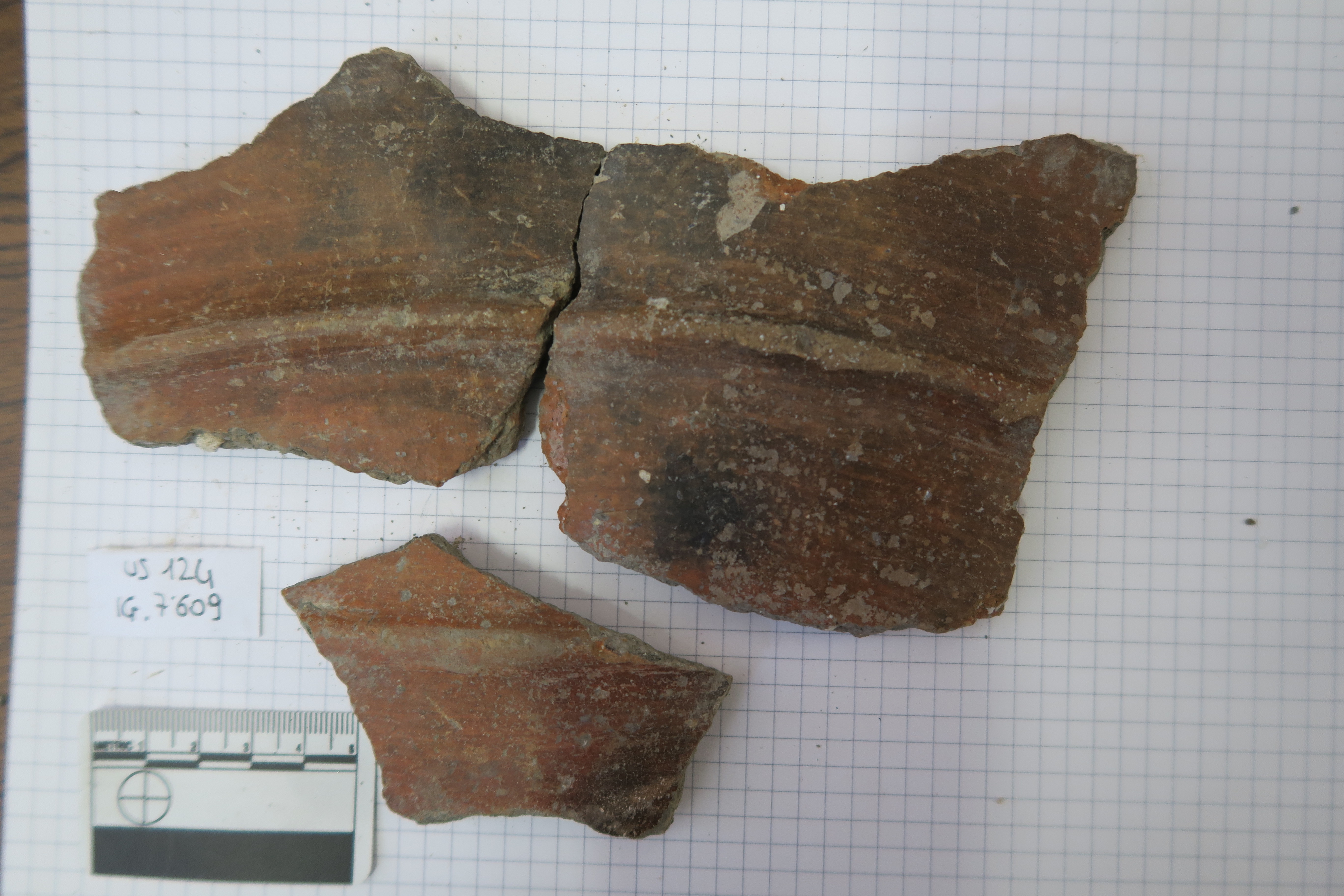 SINGOLO OGGETTO/ doglio, PERIODIZZAZIONI/ Protostoria/ Eta' del Ferro/ Seconda eta' del Ferro