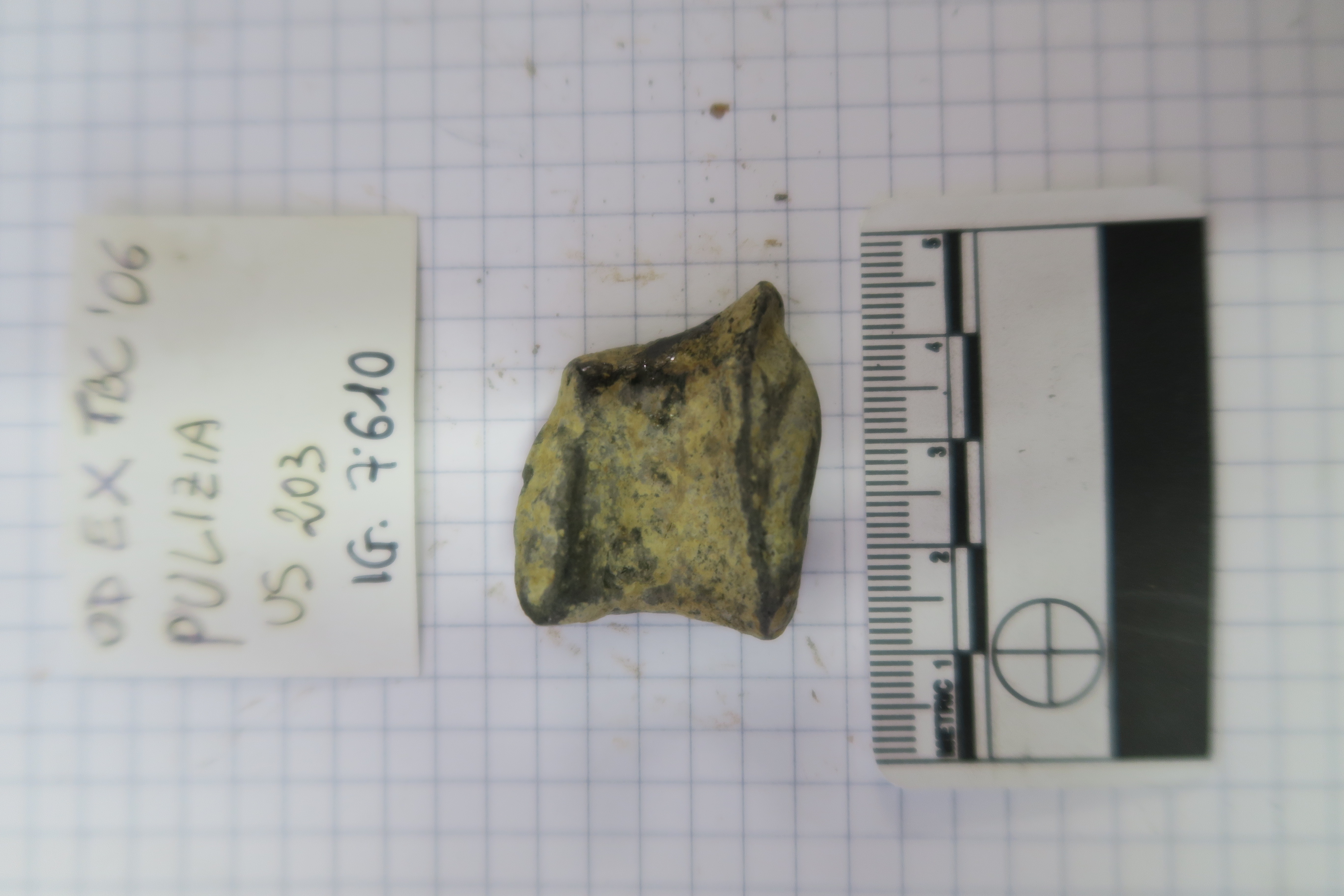 SINGOLO OGGETTO/ tazza, PERIODIZZAZIONI/ Protostoria/ Eta' del Ferro/ Seconda eta' del Ferro