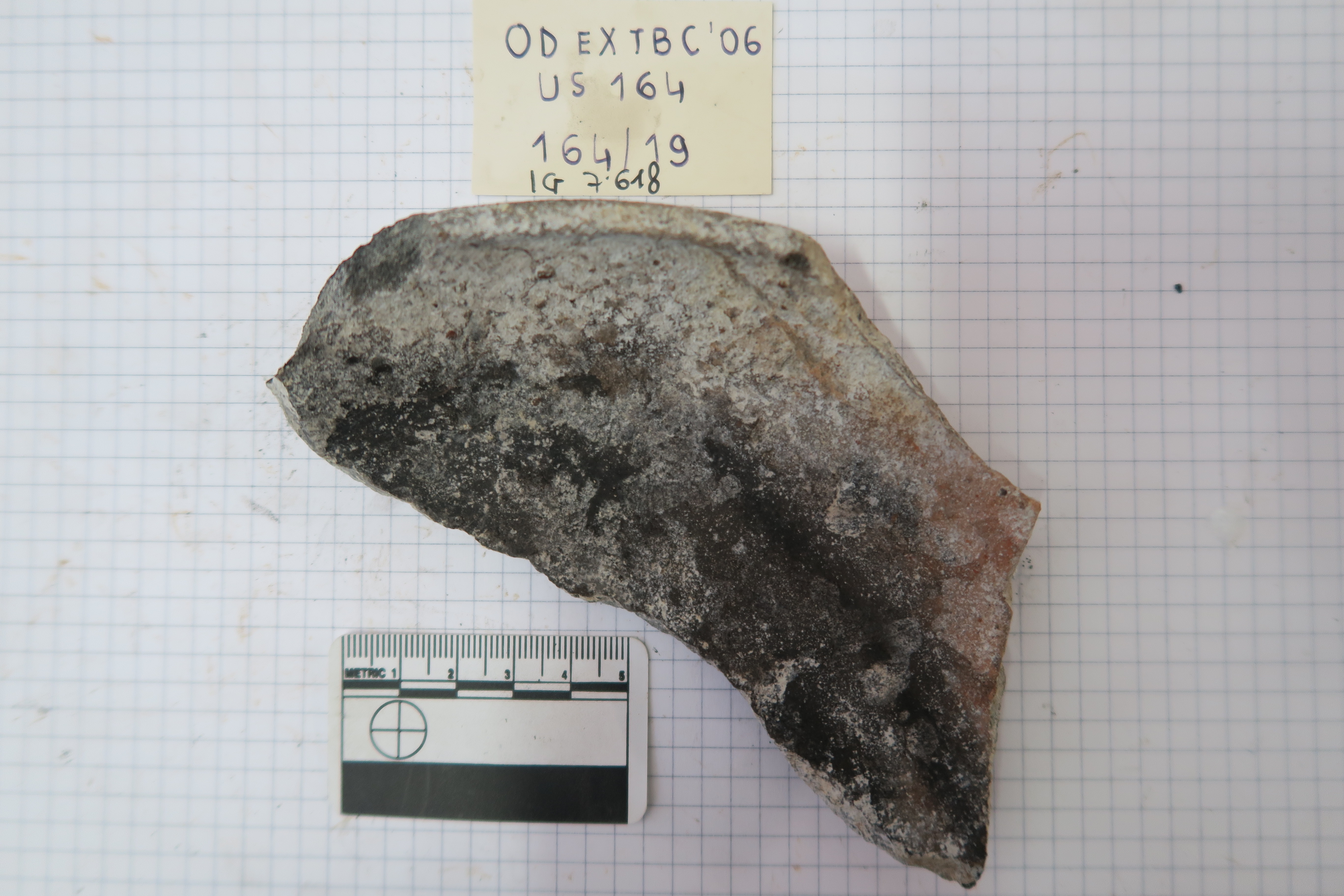 SINGOLO OGGETTO/ coppa, PERIODIZZAZIONI/ Protostoria/ Eta' del Ferro/ Seconda eta' del Ferro