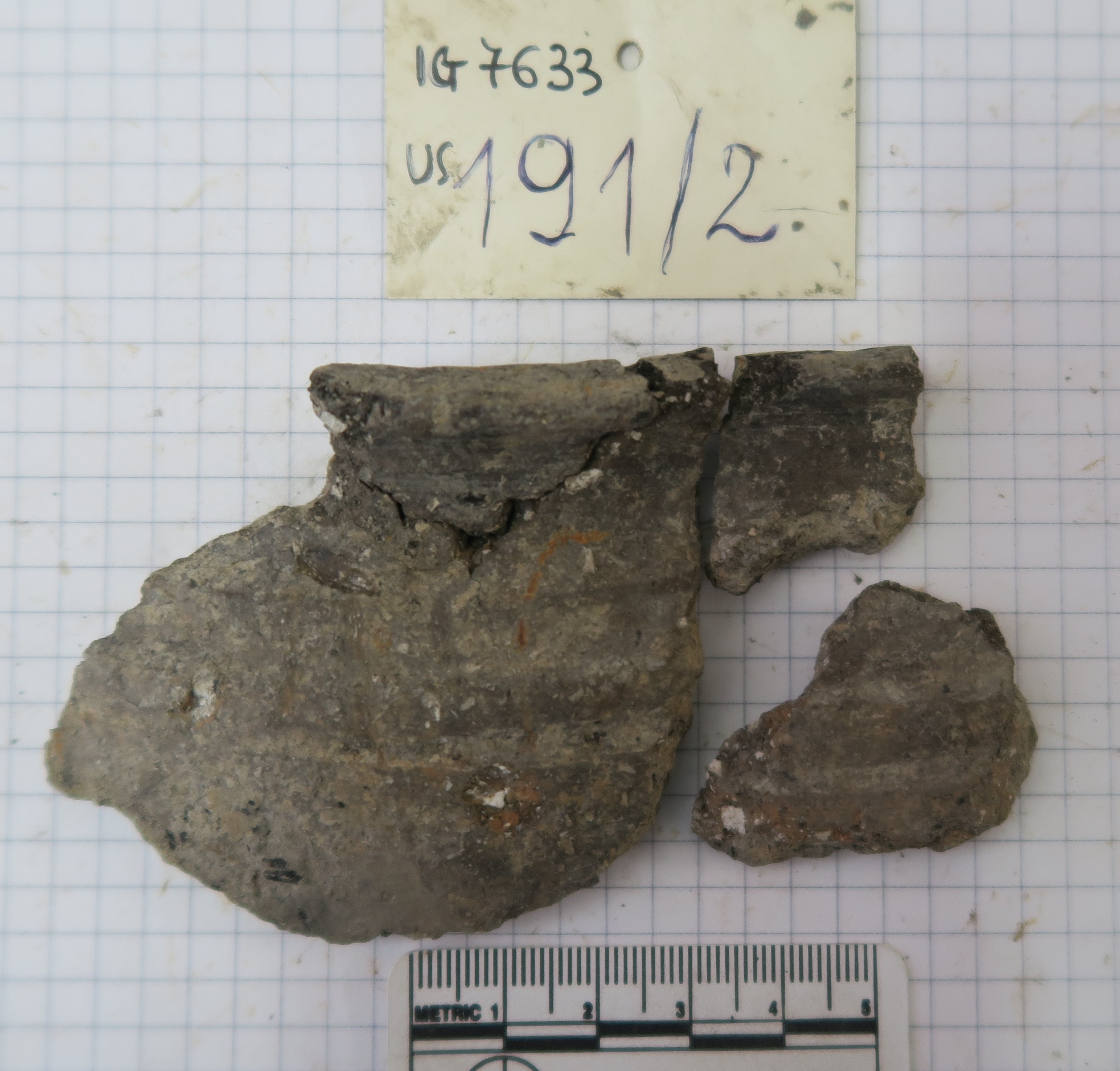 SINGOLO OGGETTO/ olla, PERIODIZZAZIONI/ Protostoria/ Eta' del Ferro/ Seconda eta' del Ferro