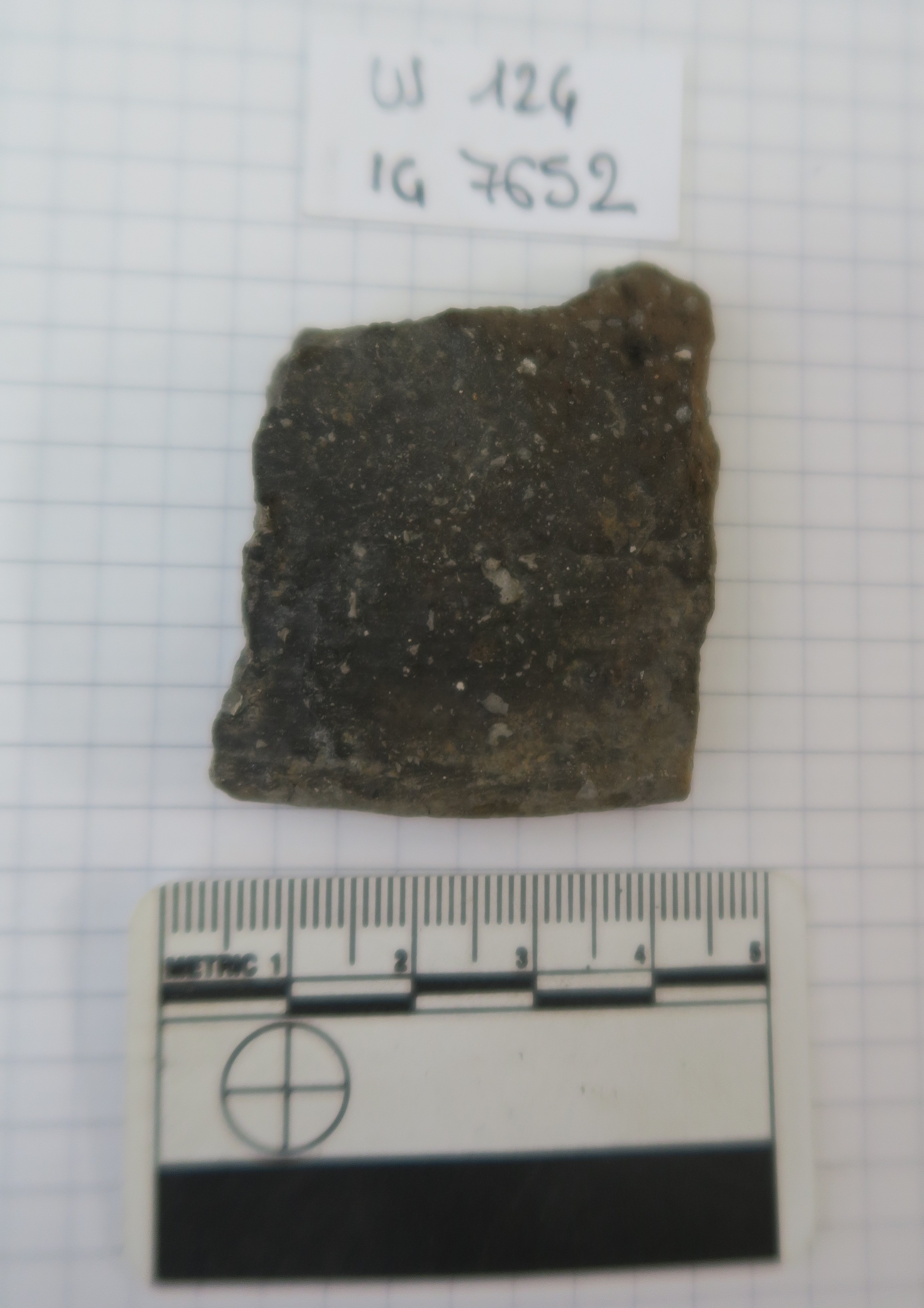 SINGOLO OGGETTO/ coperchio, PERIODIZZAZIONI/ Protostoria/ Eta' del Ferro/ Seconda eta' del Ferro