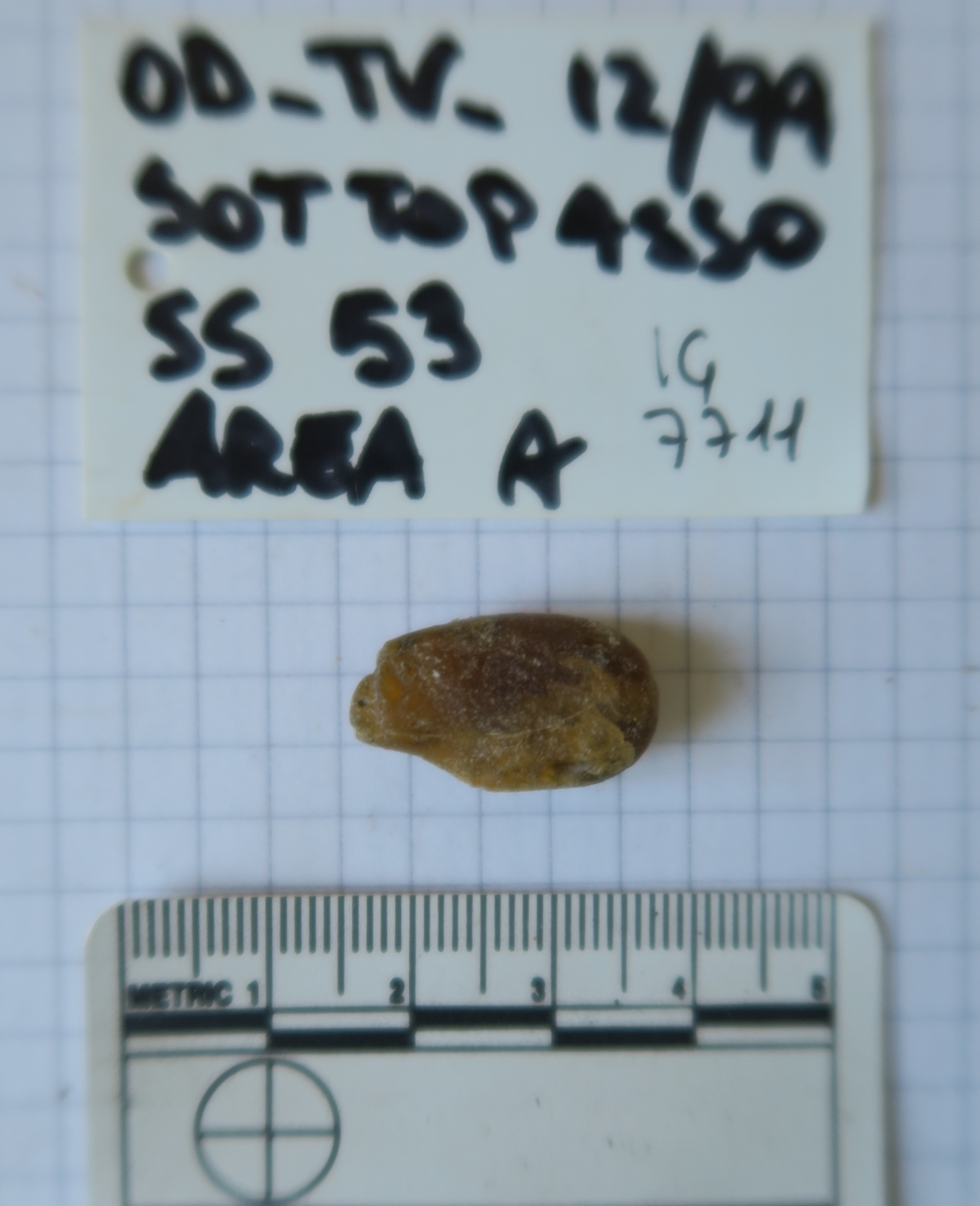 SINGOLO OGGETTO/ Perla, PERIODIZZAZIONI/ Storia/ Eta' antica/ Eta' romana/ Eta' romana imperiale