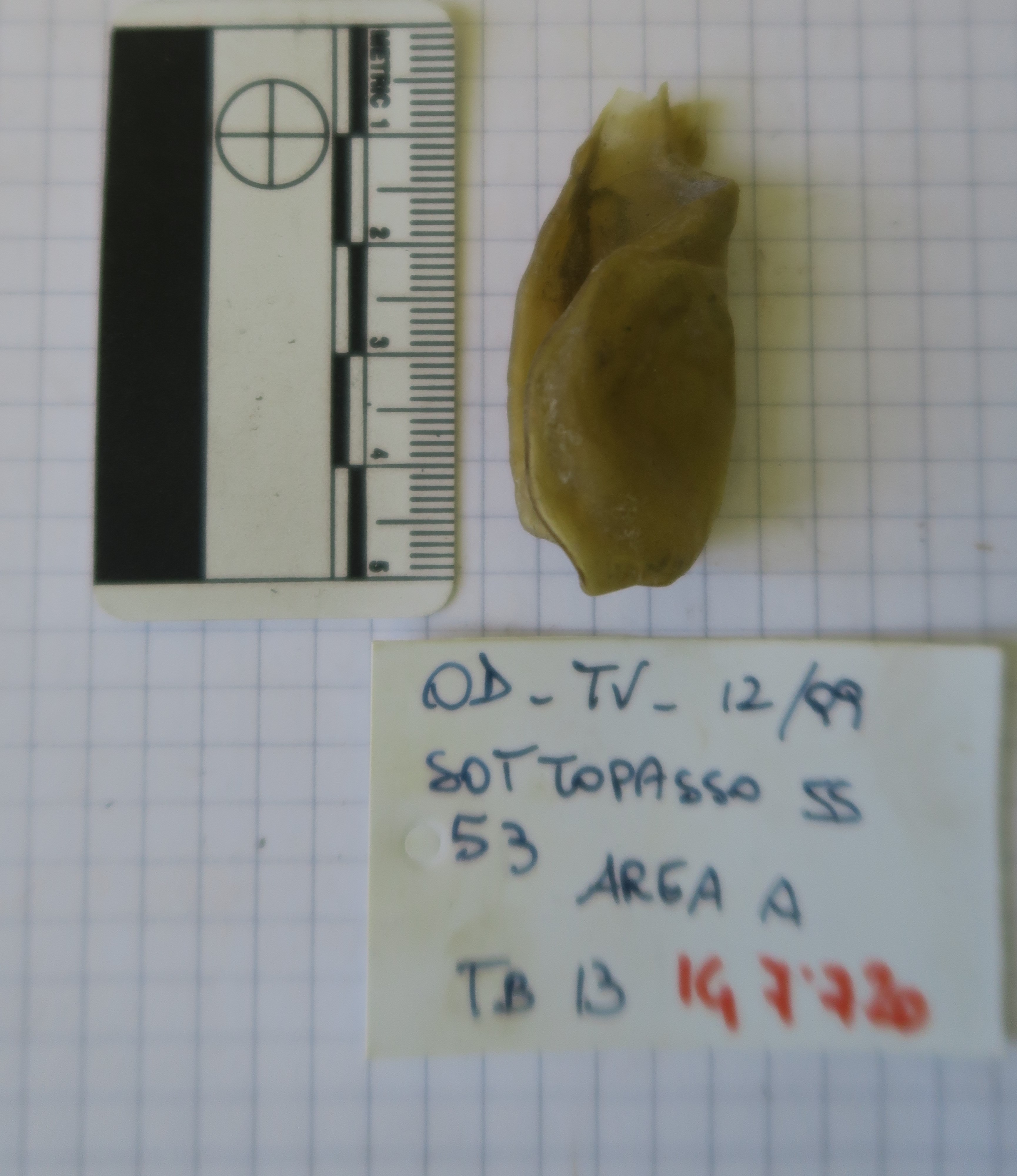 SINGOLO OGGETTO/ balsamario, PERIODIZZAZIONI/ Storia/ Eta' antica/ Eta' romana/ Eta' romana imperiale