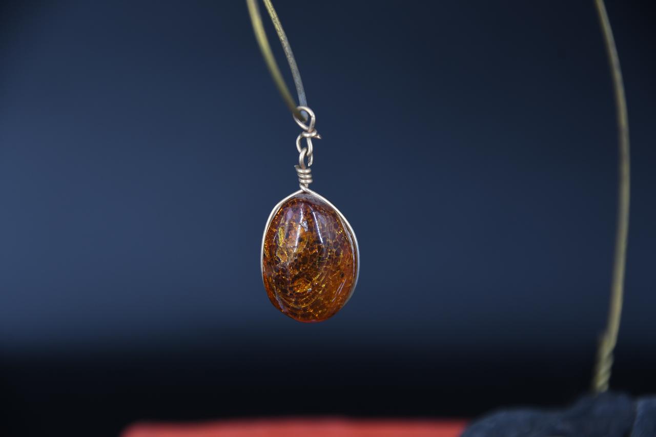 fossile (Insetto in ambra, esemplare)