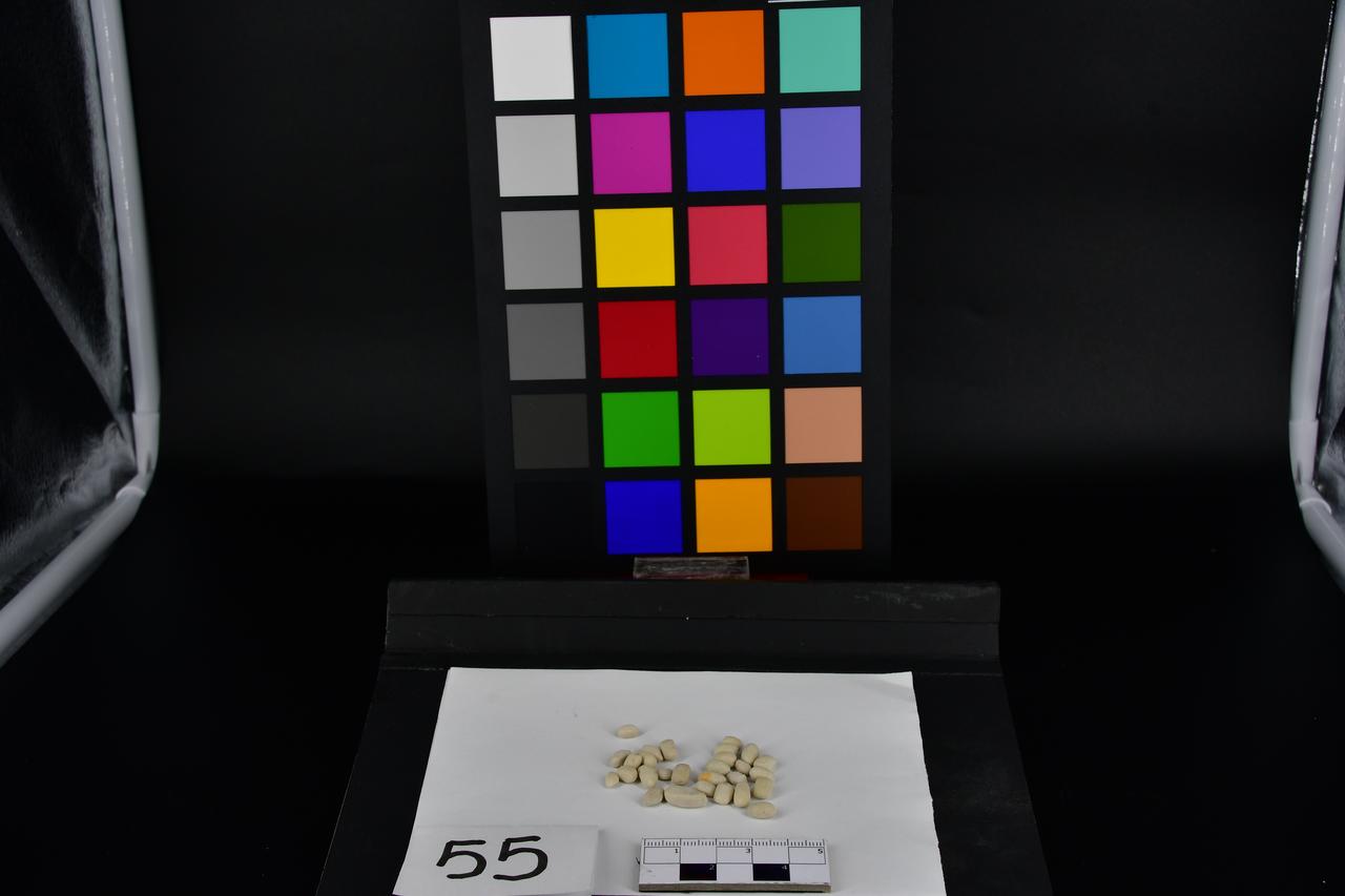 fossile (gastroliti, insieme)