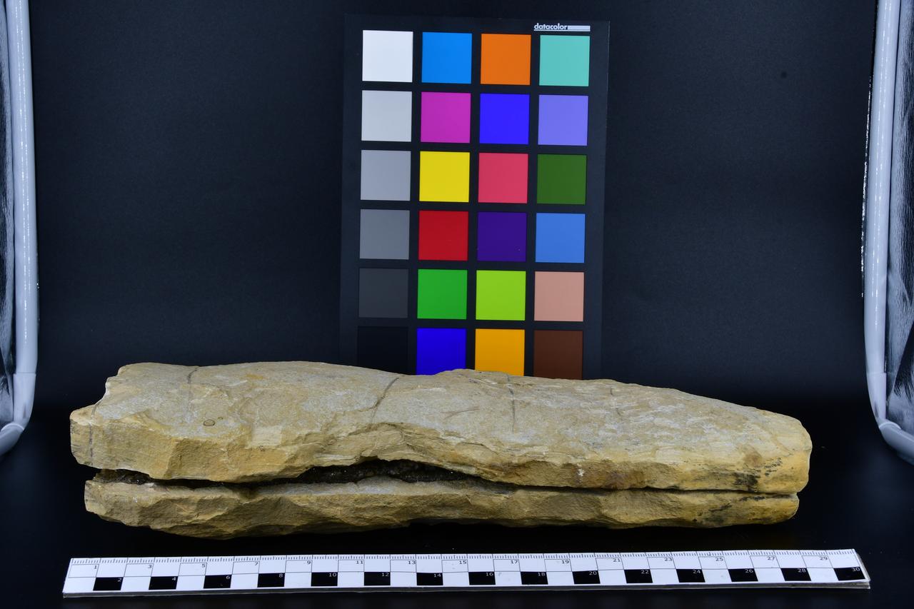 fossile (bloc. contenente framm. pesce cristallizzato, insieme)