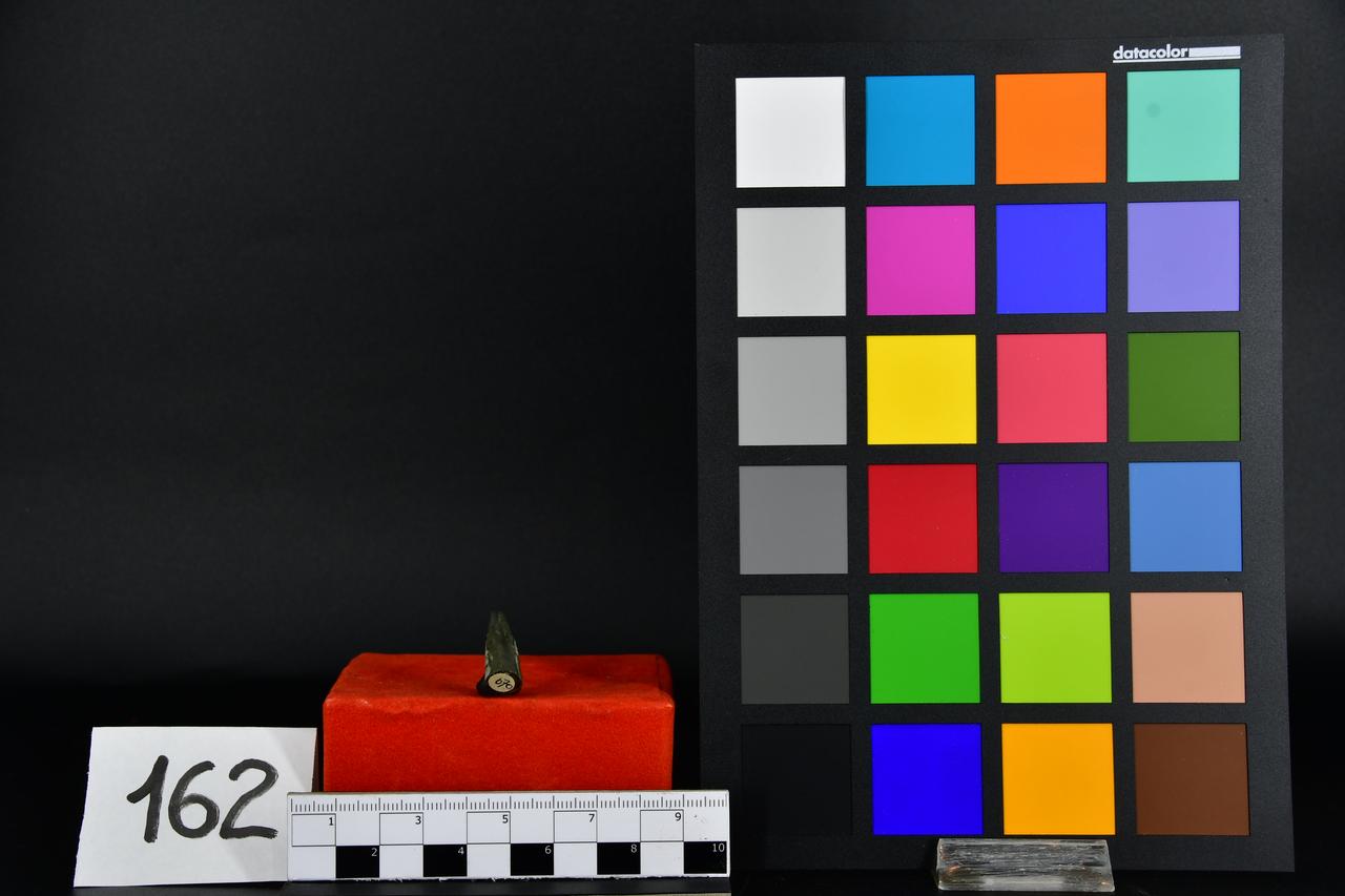 fossile (belemnite indeterminato, esemplare)