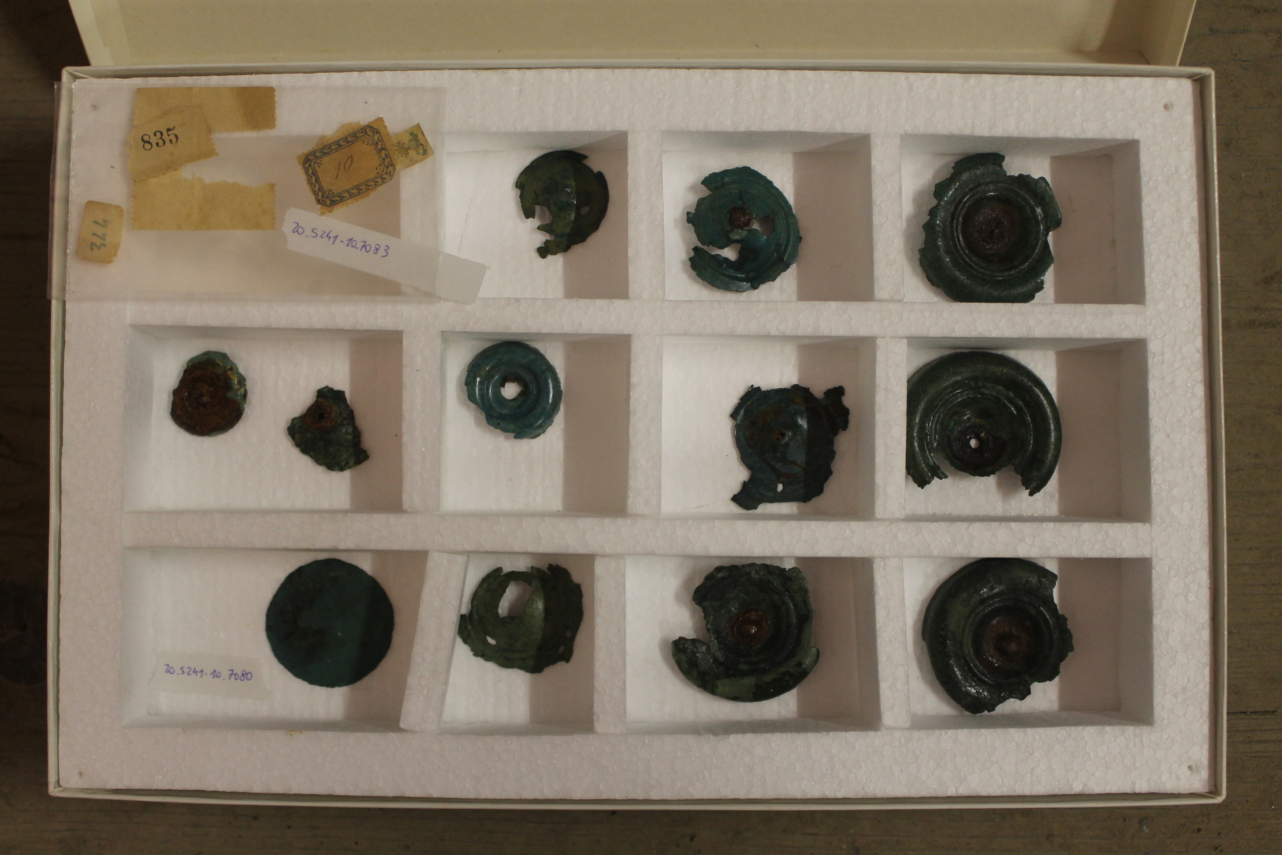 SINGOLO OGGETTO/ borchia, SECOLI/ VI a.C