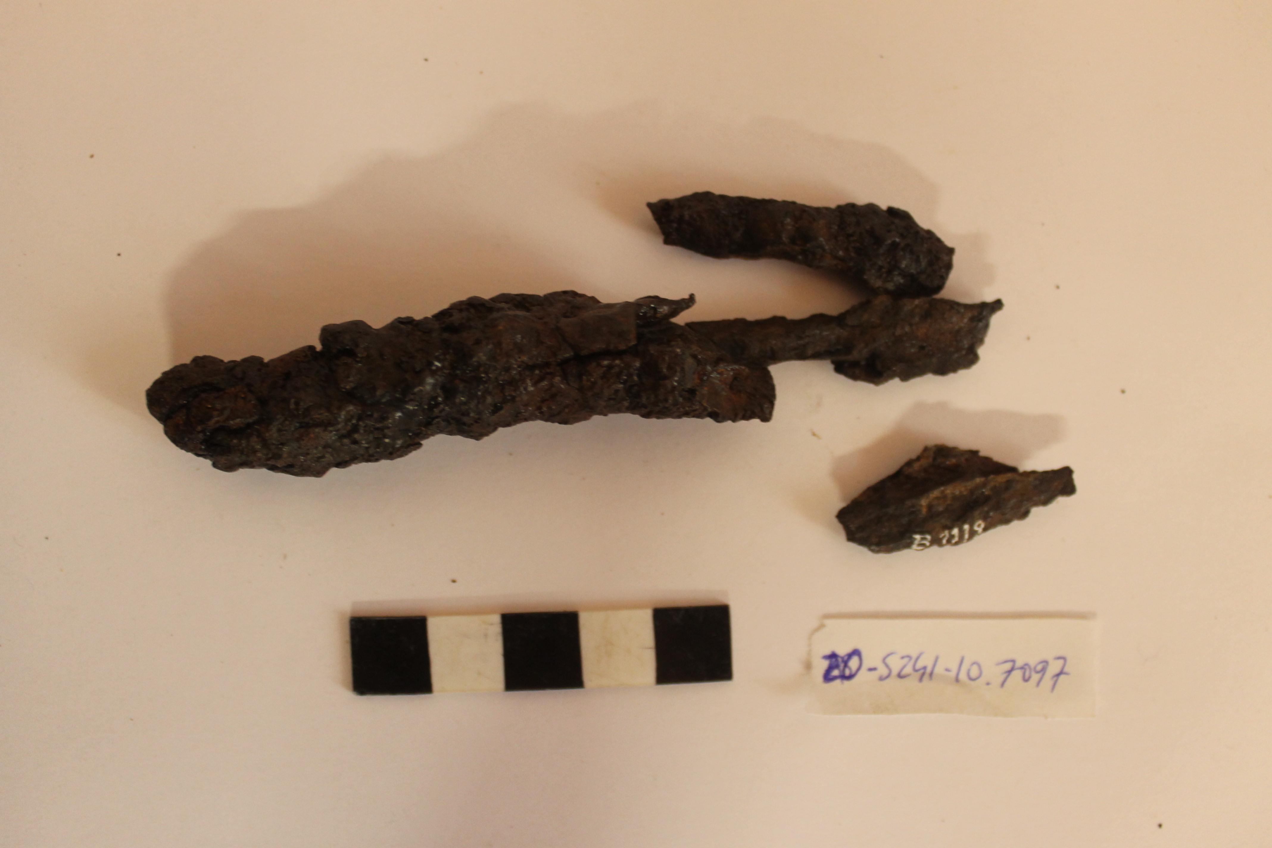 SINGOLO OGGETTO/ giavellotto, non determinabile