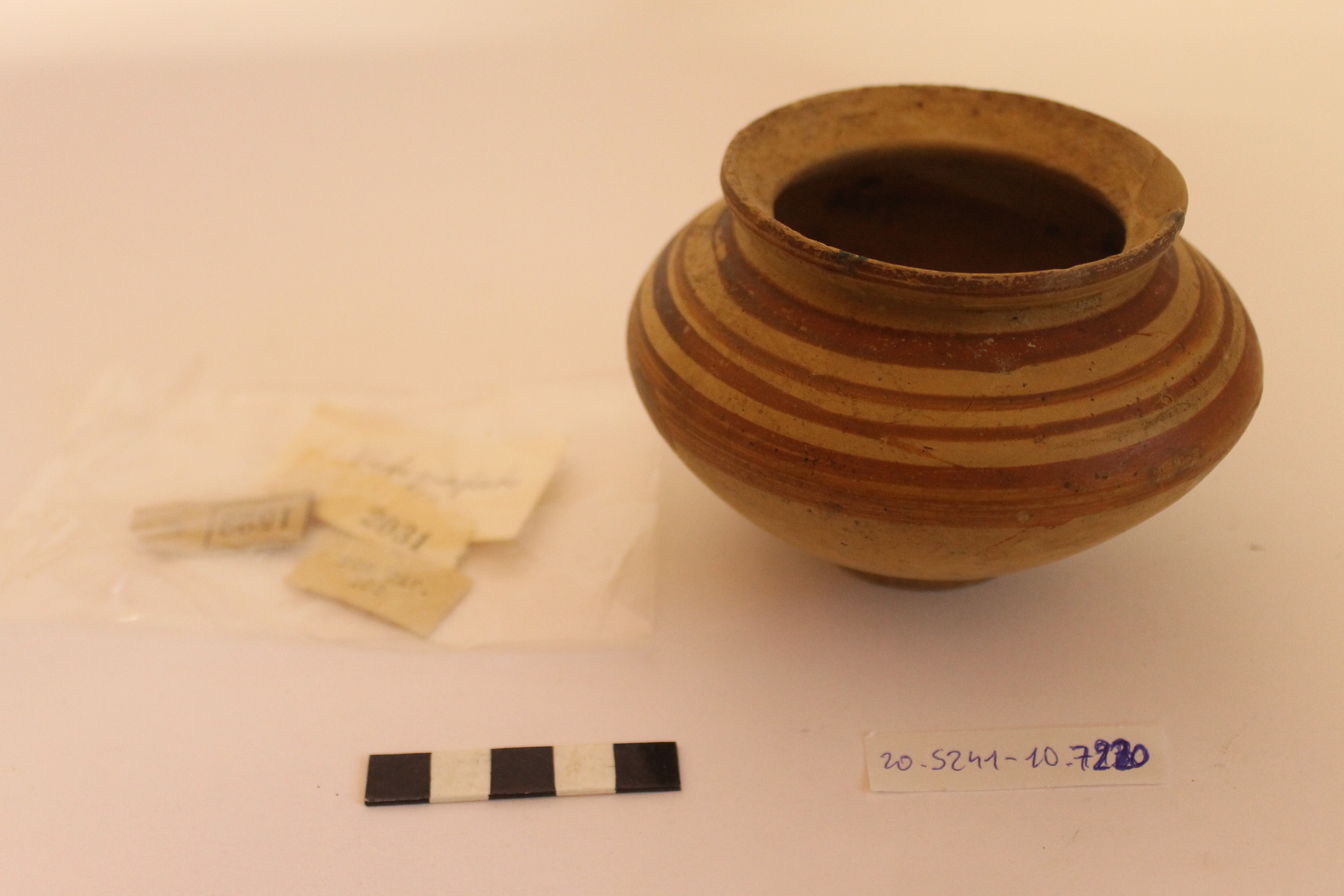 SINGOLO OGGETTO/ olla, SECOLI/ VI a.C