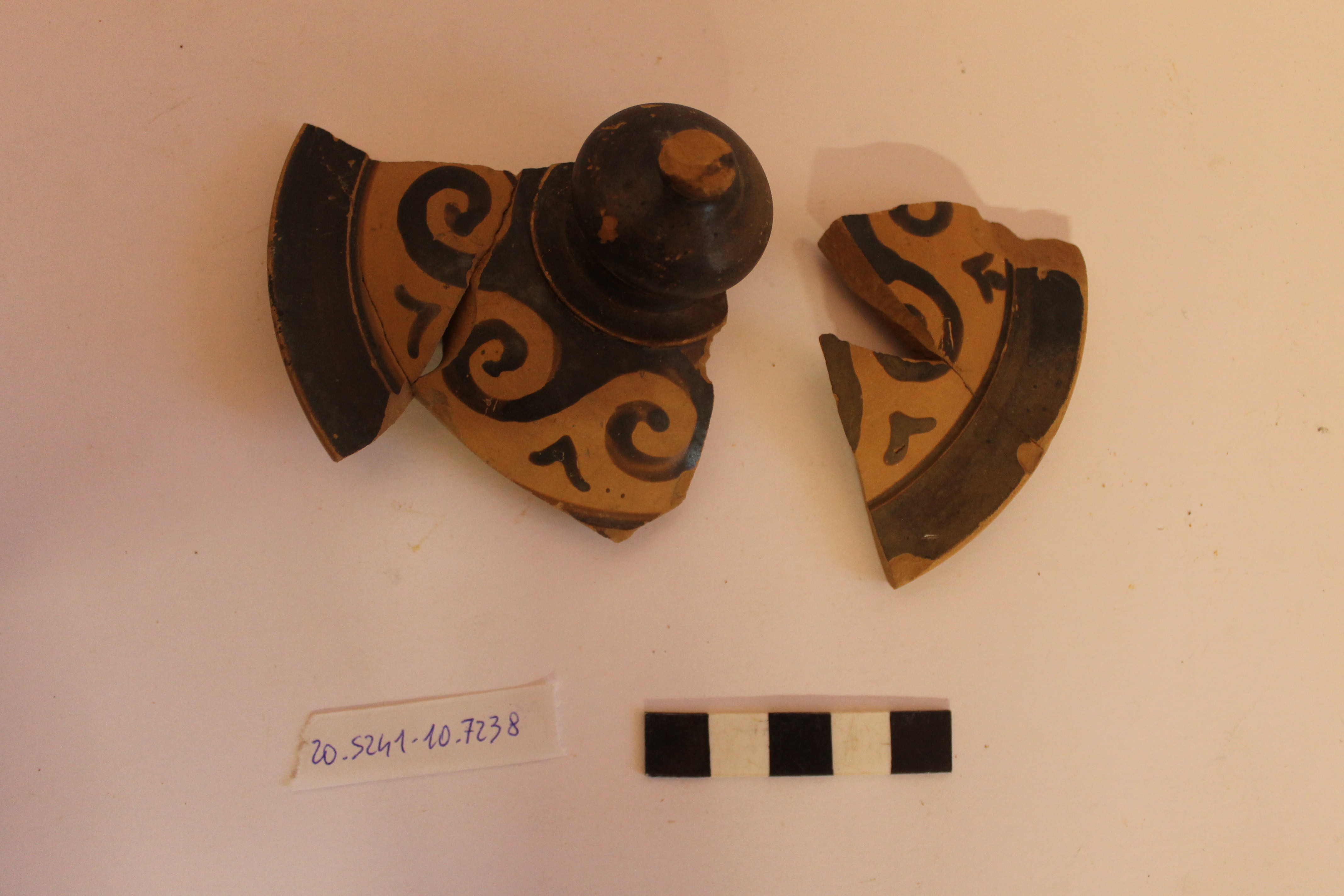 SINGOLO OGGETTO/ coperchio, SECOLI/ V a.C