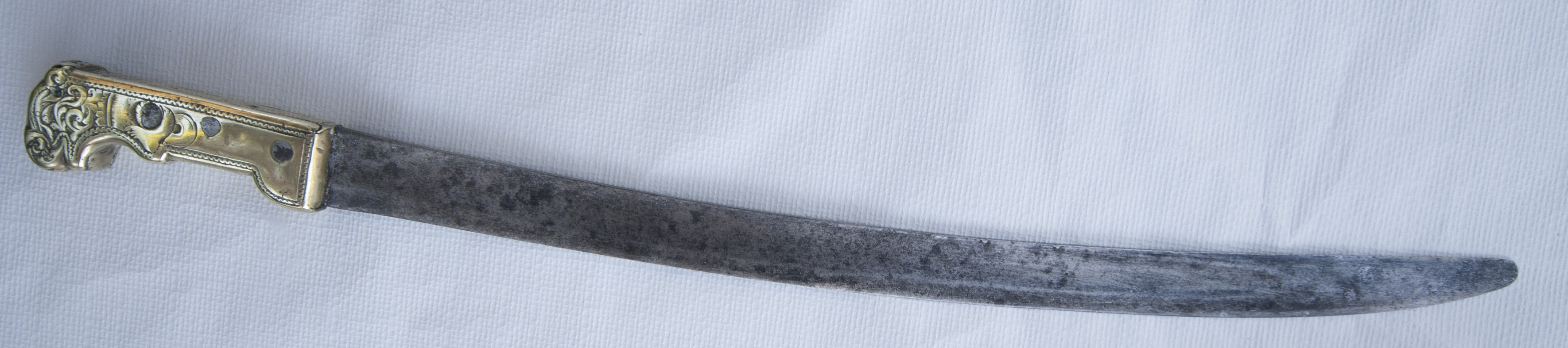 motivo decorativo zoomorfo (sciabola) - manifattura sarda (terzo quarto XIX)