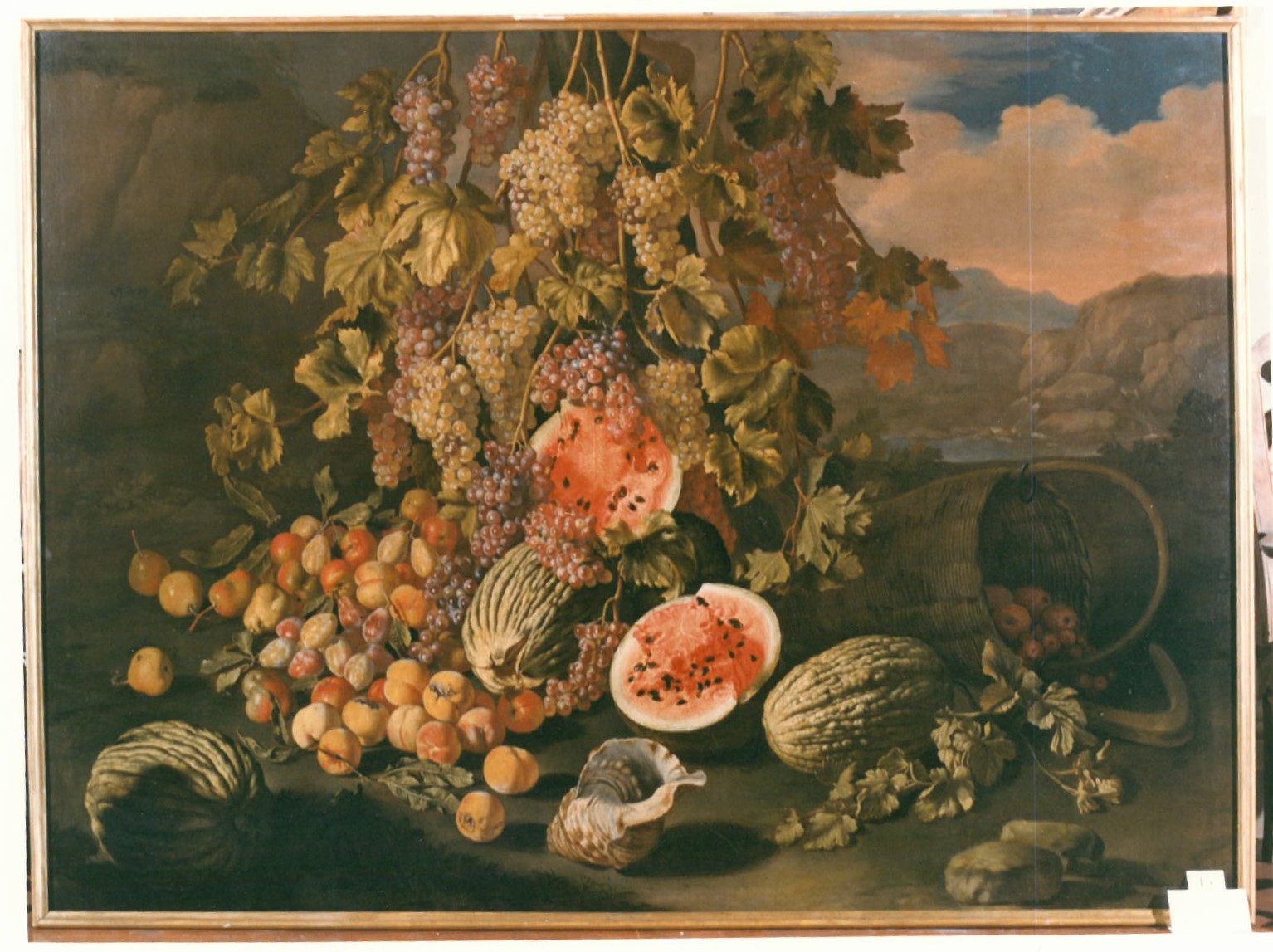 natura morta con frutta e conchiglia (dipinto) di Ruoppolo Giovan Battista (attribuito) (sec. XVII)