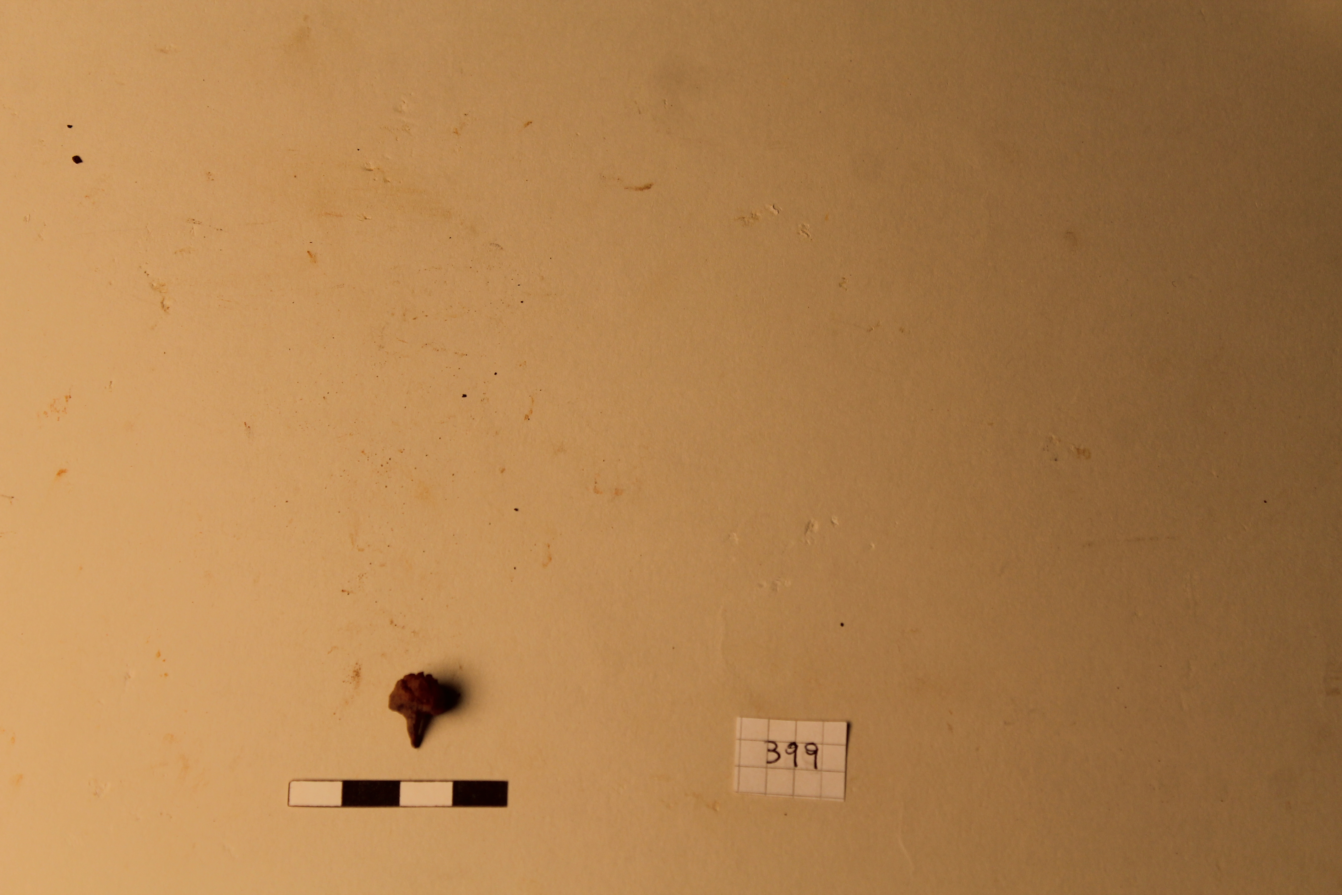 SINGOLO OGGETTO/ chiodo, PERIODIZZAZIONI/ Storia/ Eta' antica/ Eta' romana/ Eta' romana imperiale