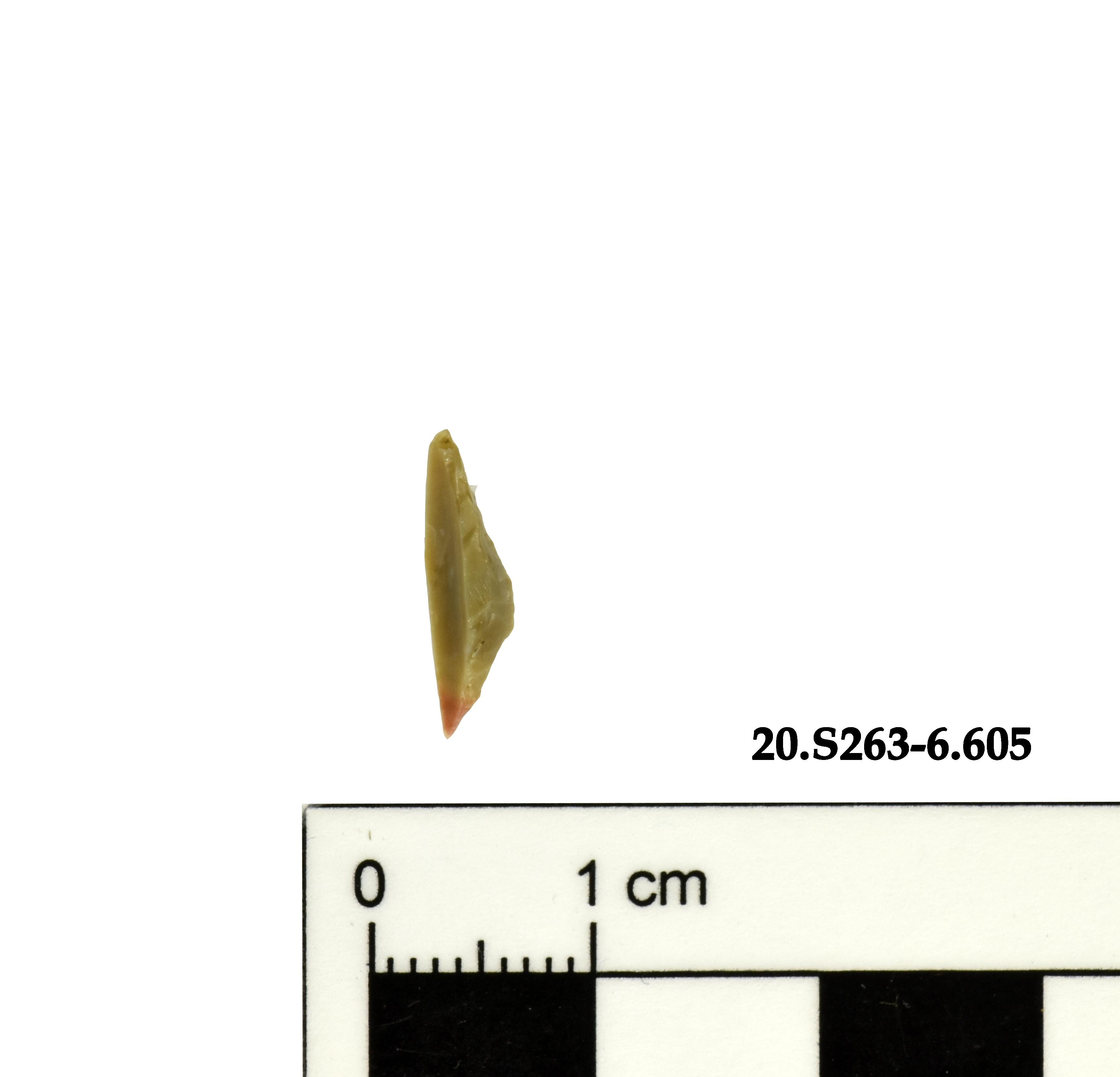 SINGOLO OGGETTO/ geometrico, PERIODIZZAZIONI/ Preistoria/ Mesolitico