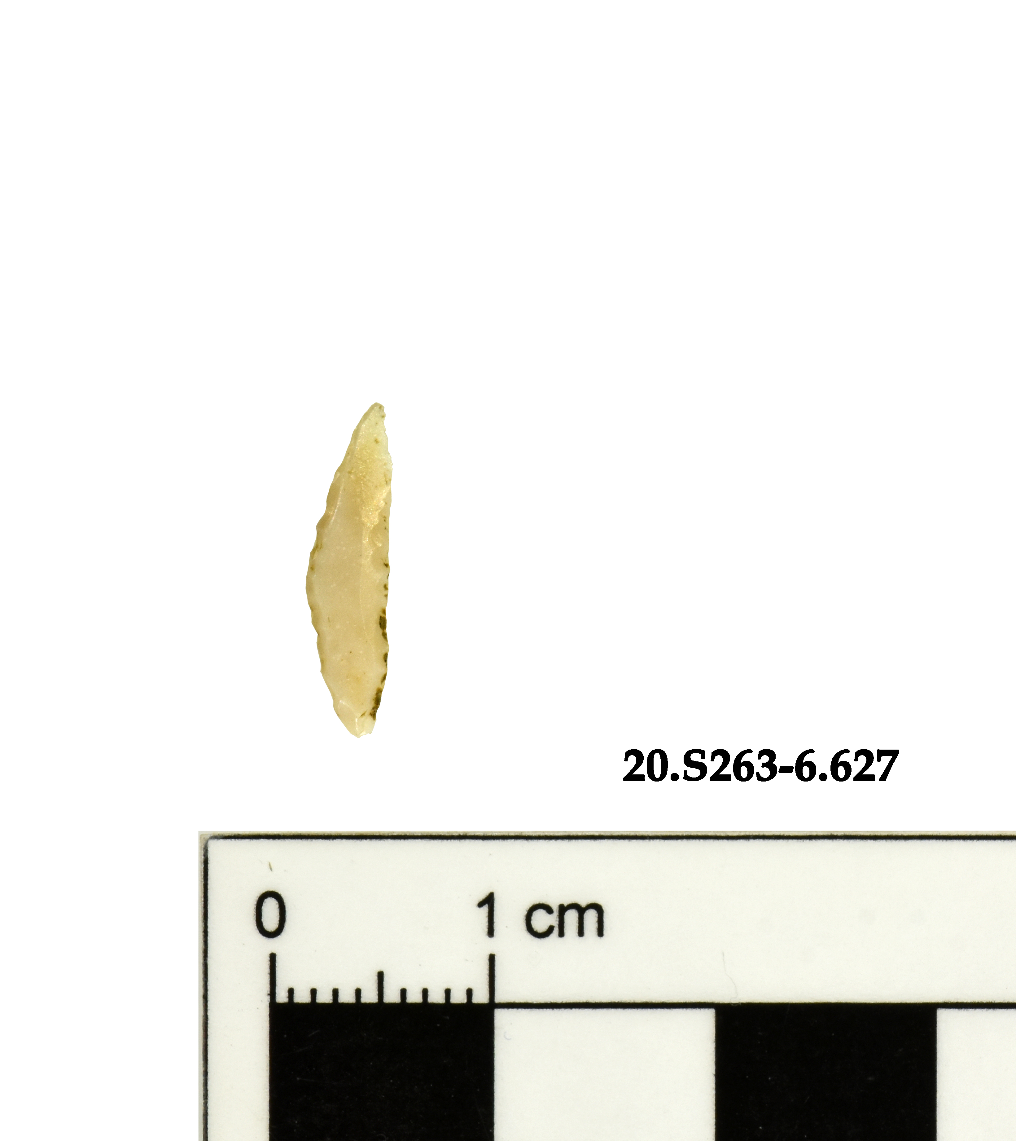 SINGOLO OGGETTO/ geometrico, PERIODIZZAZIONI/ Preistoria/ Mesolitico